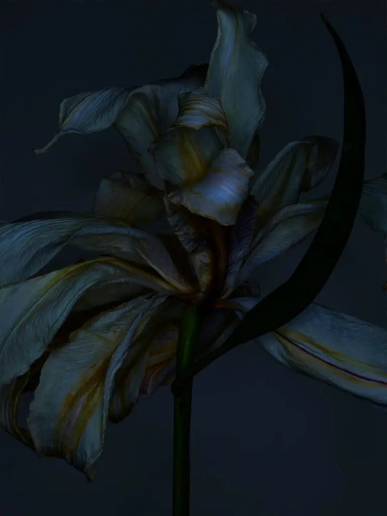 Stacked From 13 Images. Method=B (R=2,S=8)