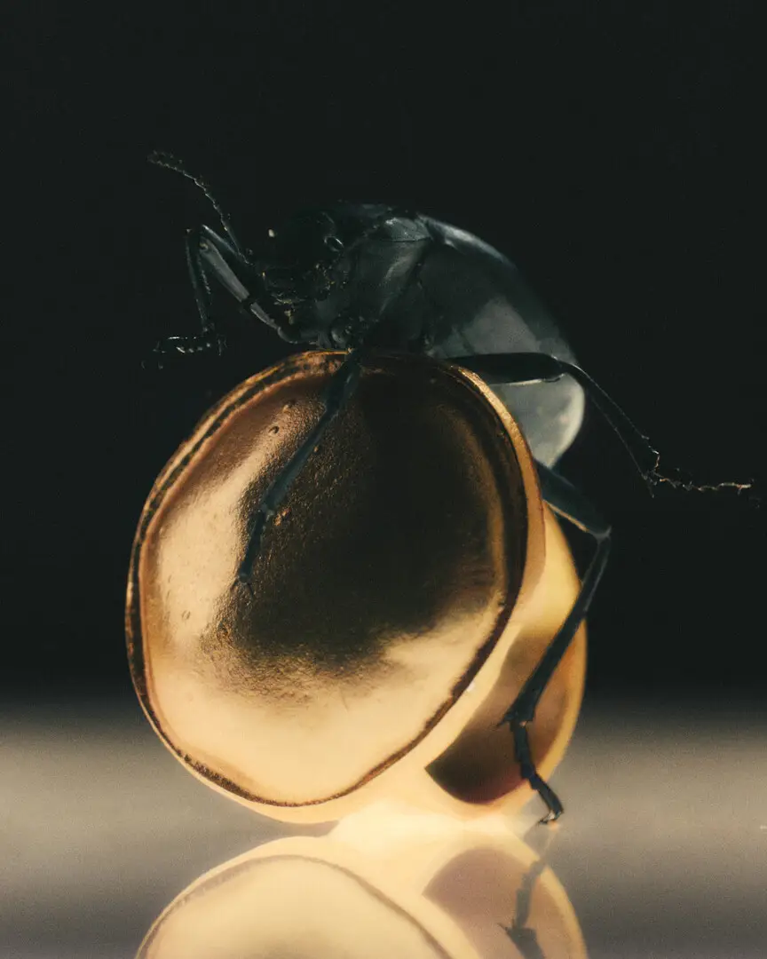 04 Oscar Calleja Still Life Jewelry Menfarita Craetive Paris