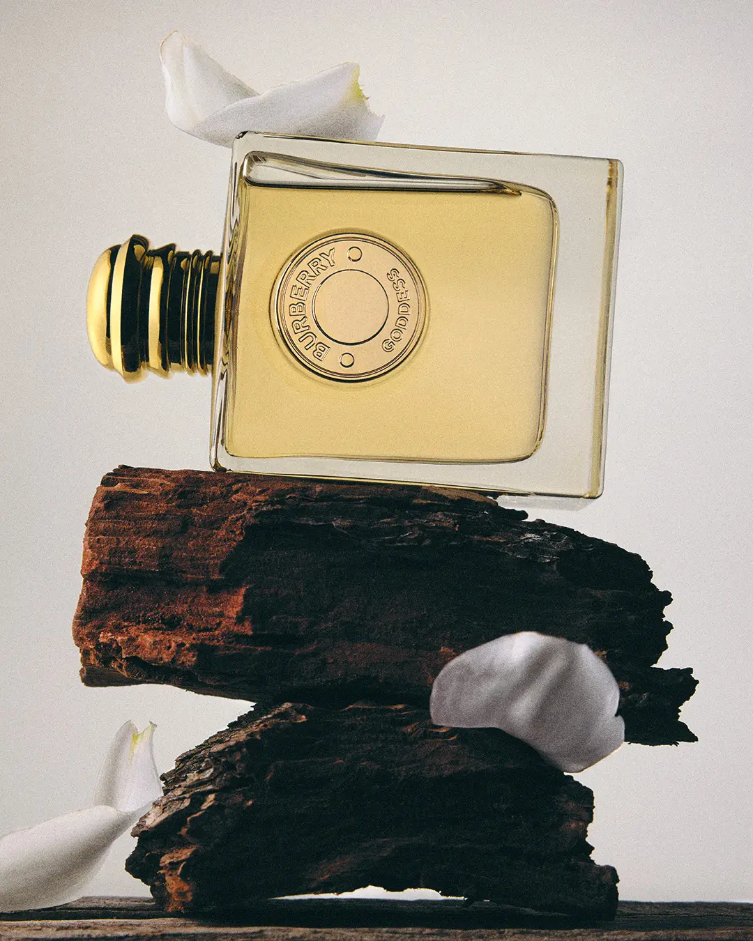 21 Oscar Calleja Still Life Fragrance Burberry Craetive Paris