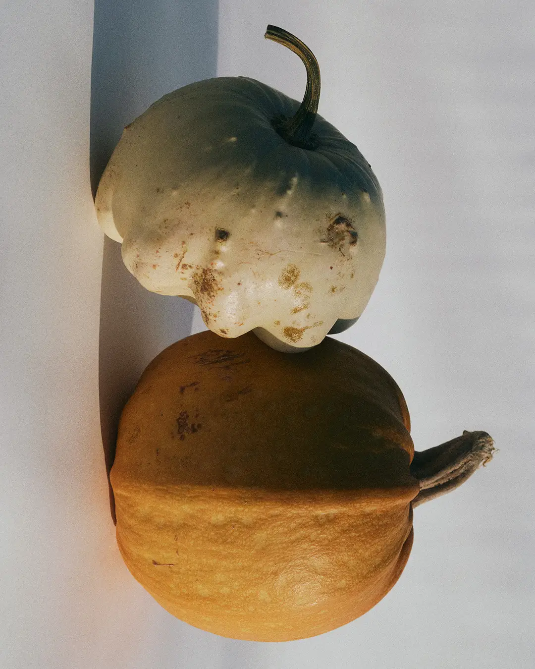 24 Oscar Calleja Still Life Food BeveragesOscar Calleja Still Life Childhood Objects2 Craetive Paris 13