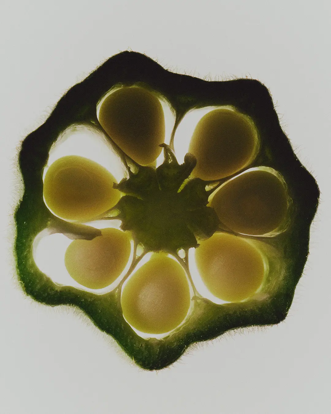 27 Oscar Calleja Still Life Food BeveragesOscar Calleja Still Life Food BeveragesSABLE33522 Craetive Paris 33 Sables Craetive Paris 03