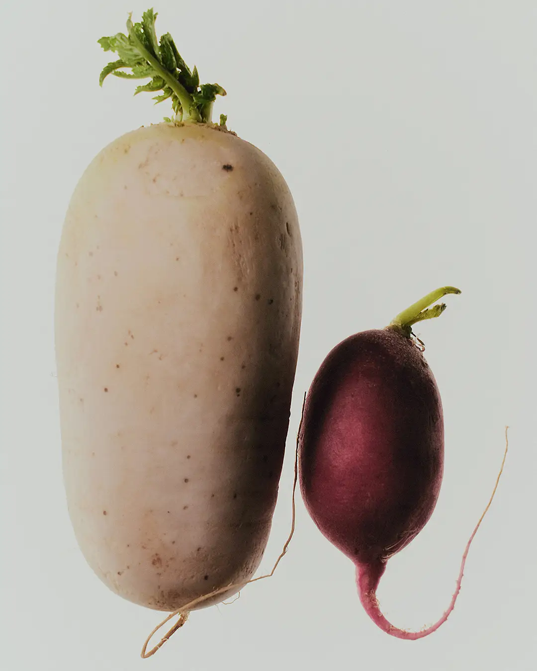 28 Oscar Calleja Still Life Food BeveragesOscar Calleja Still Life Food BeveragesSABLE33587 1 Craetive Paris 35 Sables Craetive Paris 05