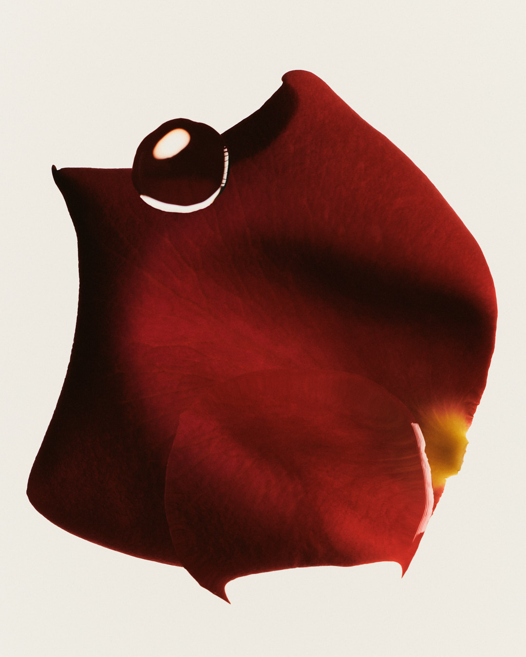 36 Oscar Calleja Still Life Beauty FragrancesAdolfoDominguez Hero 07 Craetive Paris 42 Craetive Paris 01