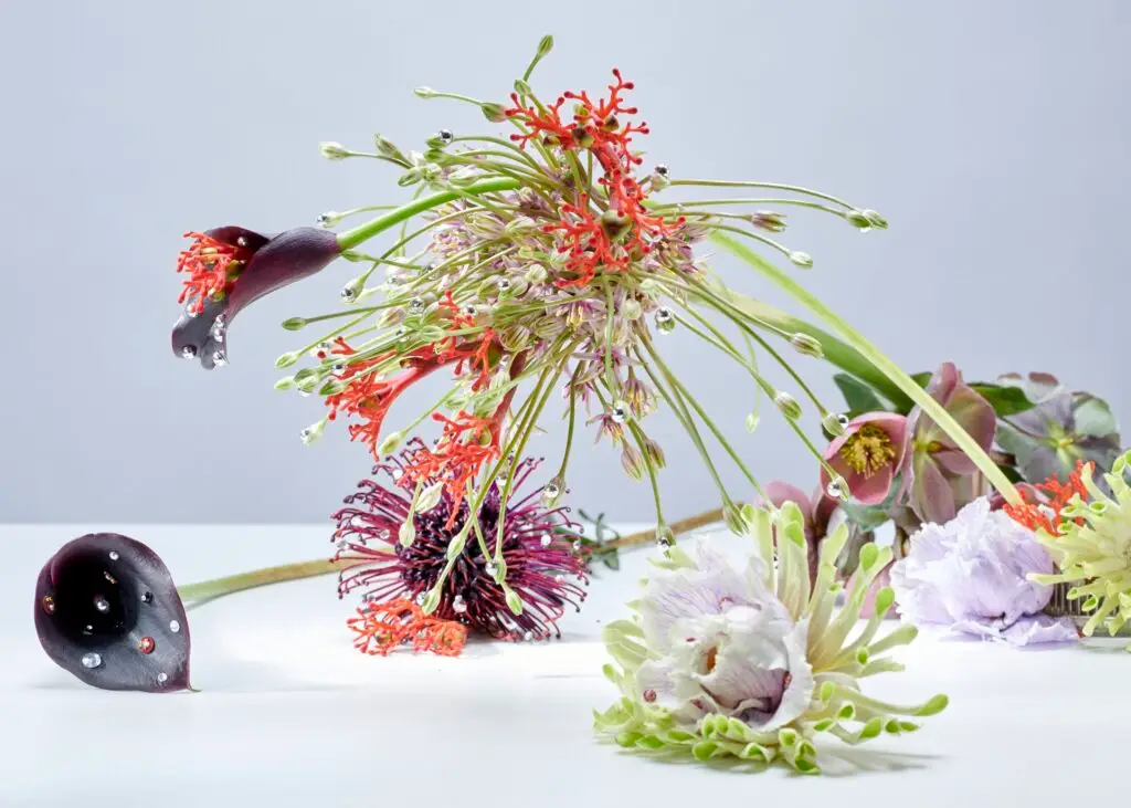 Thyrse Craetive Paris Portfolio CG 03