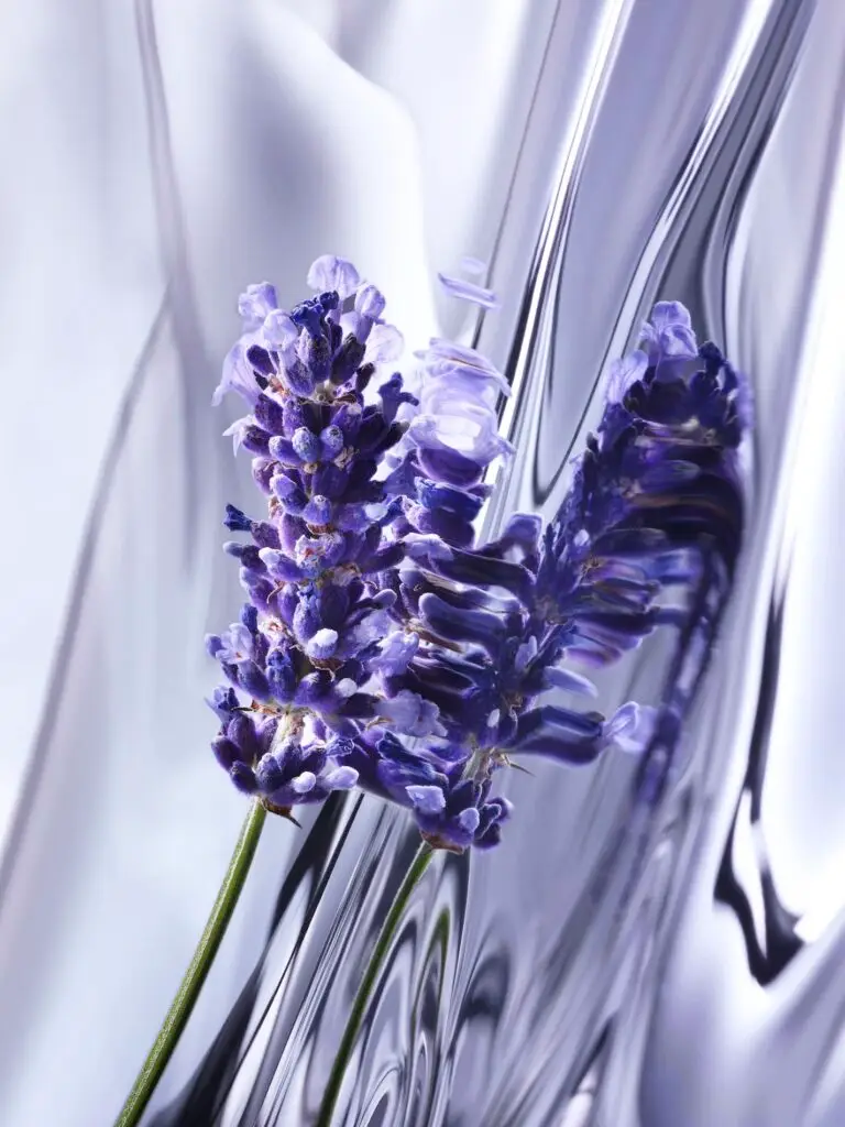 Thyrse Craetive Paris Portfolio Infiniment Coty Fragrances 02