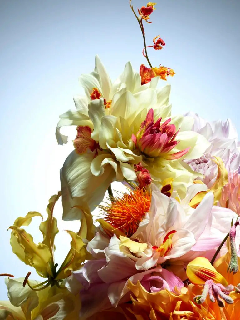 Thyrse Craetive Paris Portfolio Jean Baptiste Degez 02