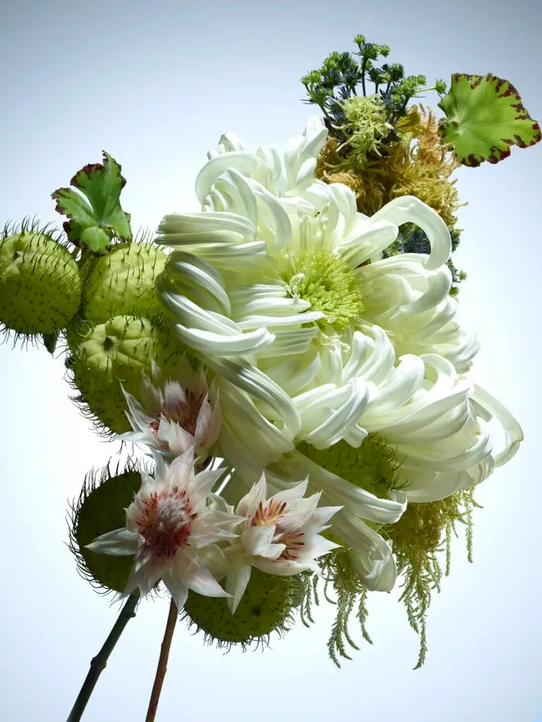 Thyrse Craetive Paris Portfolio Jean Baptiste Degez V05