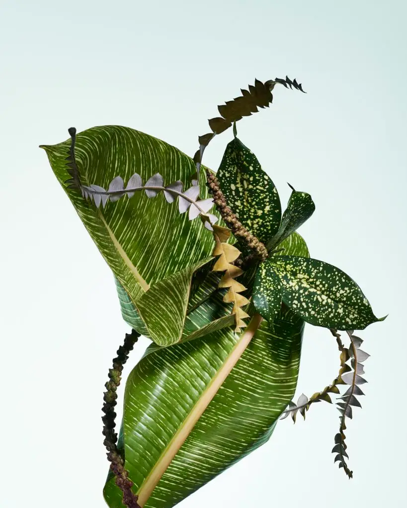 Stacked From 8 Images. Method=B (R=1,S=1)