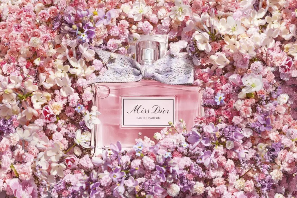 Thyrse Craetive Paris Portfolio Miss Dior