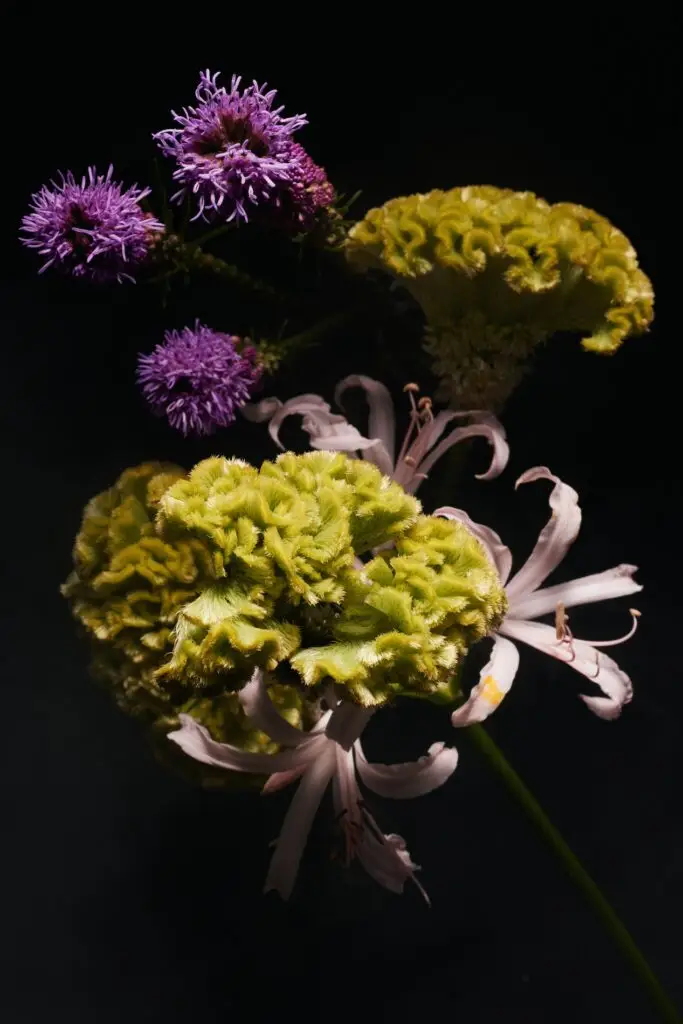 Thyrse Craetive Paris Portfolio UF 05