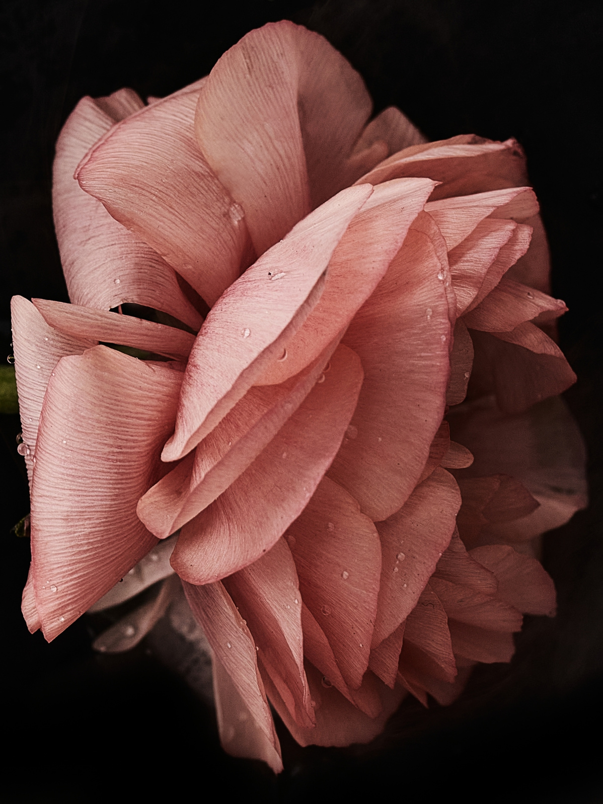 002 Fernando Gomez Craetive Paris Bold Make Up