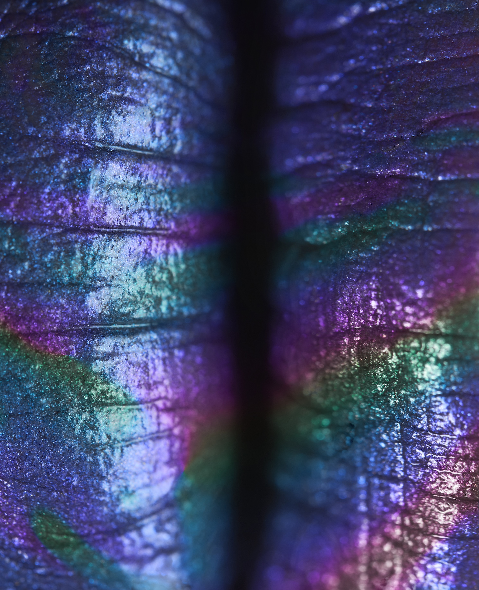 002 Lucian Bor Craetive Paris Beauty