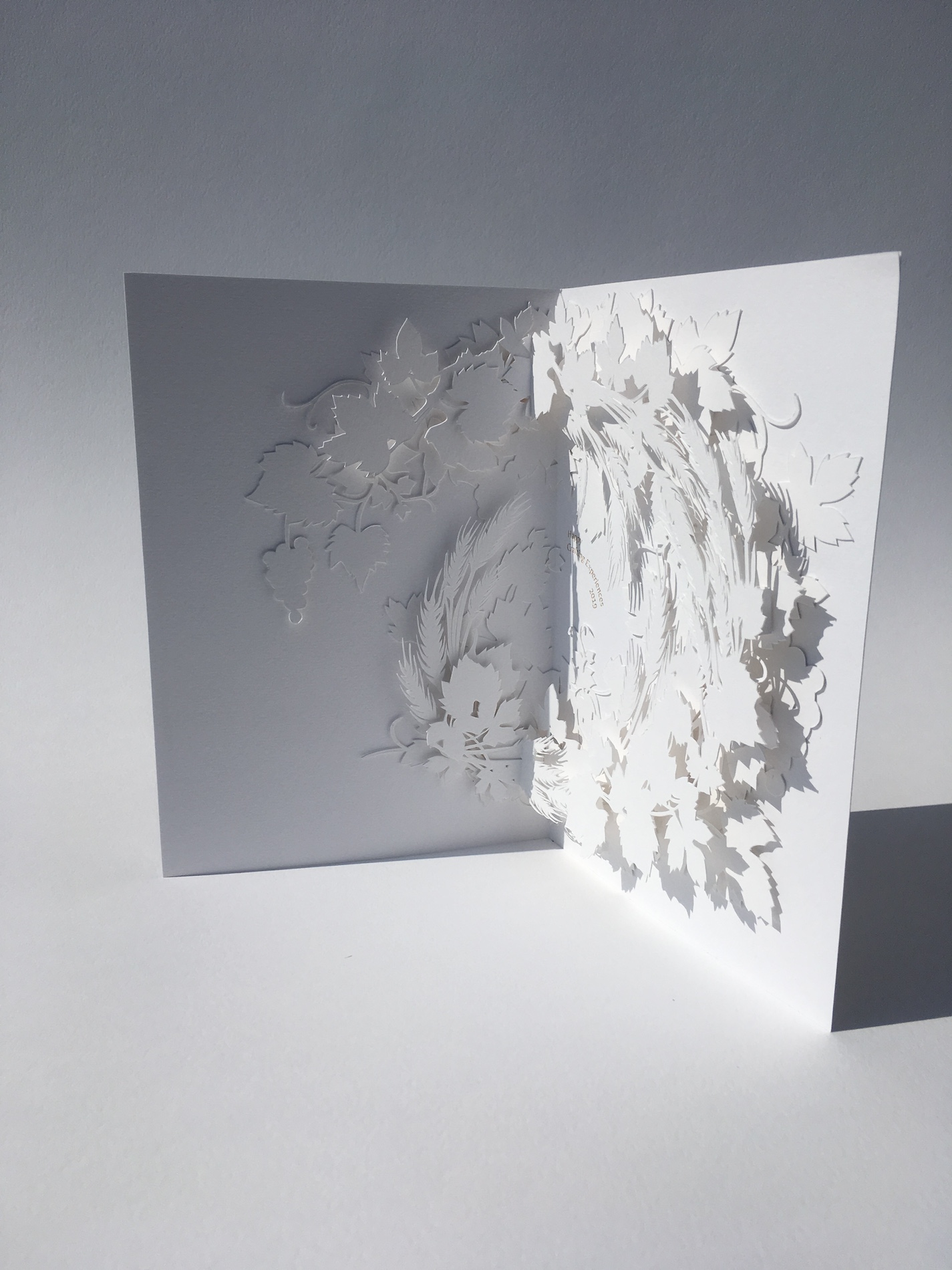 003 Cloe Vriet Craetive Paris Paper Artist Paper Edition