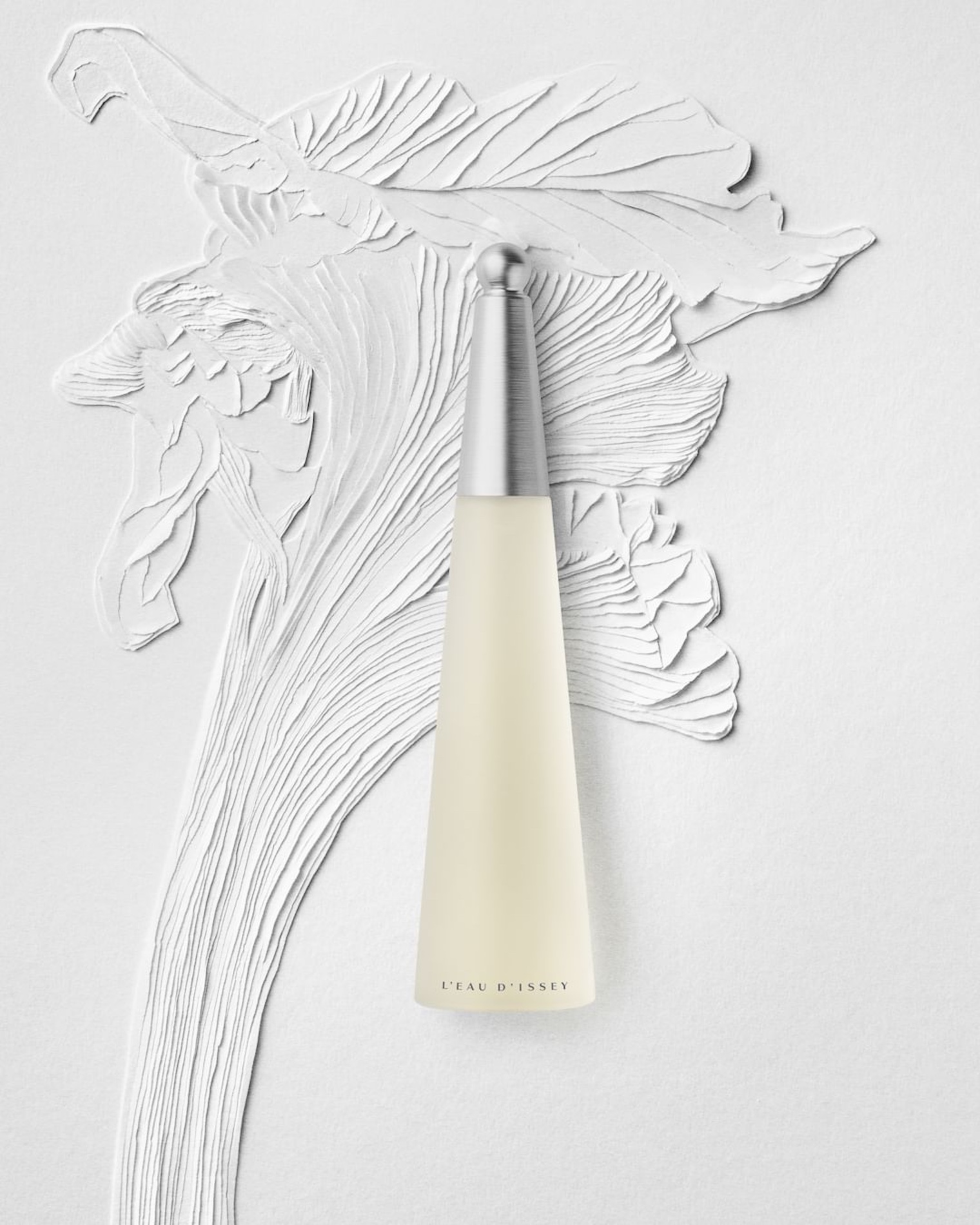 003 Cloe Vriet Craetive Paris Paper Artist Portfolio