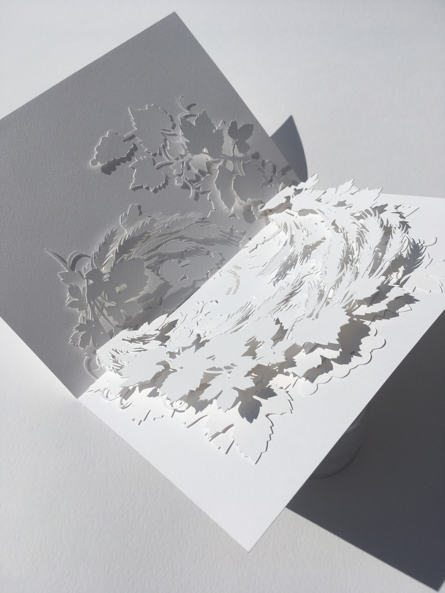 004 Cloe Vriet Craetive Paris Paper Artist Paper Edition