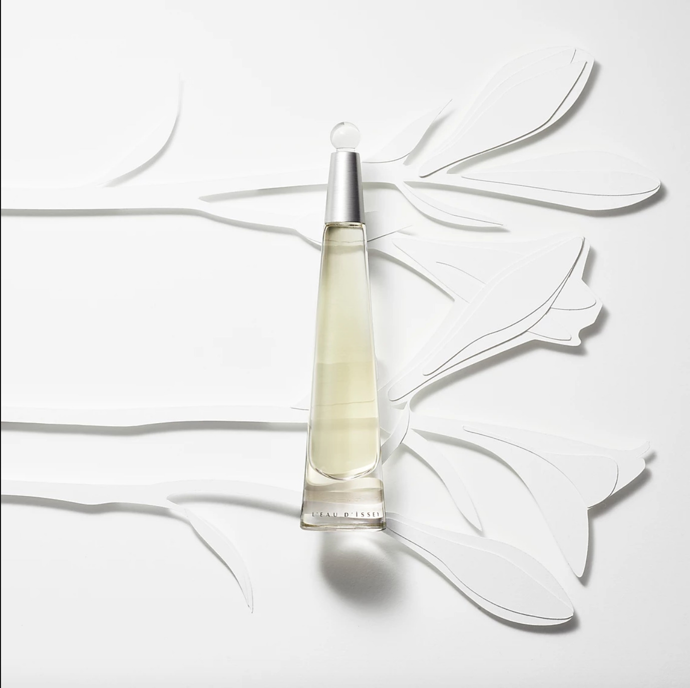 004 Cloe Vriet Craetive Paris Paper Artist Portfolio