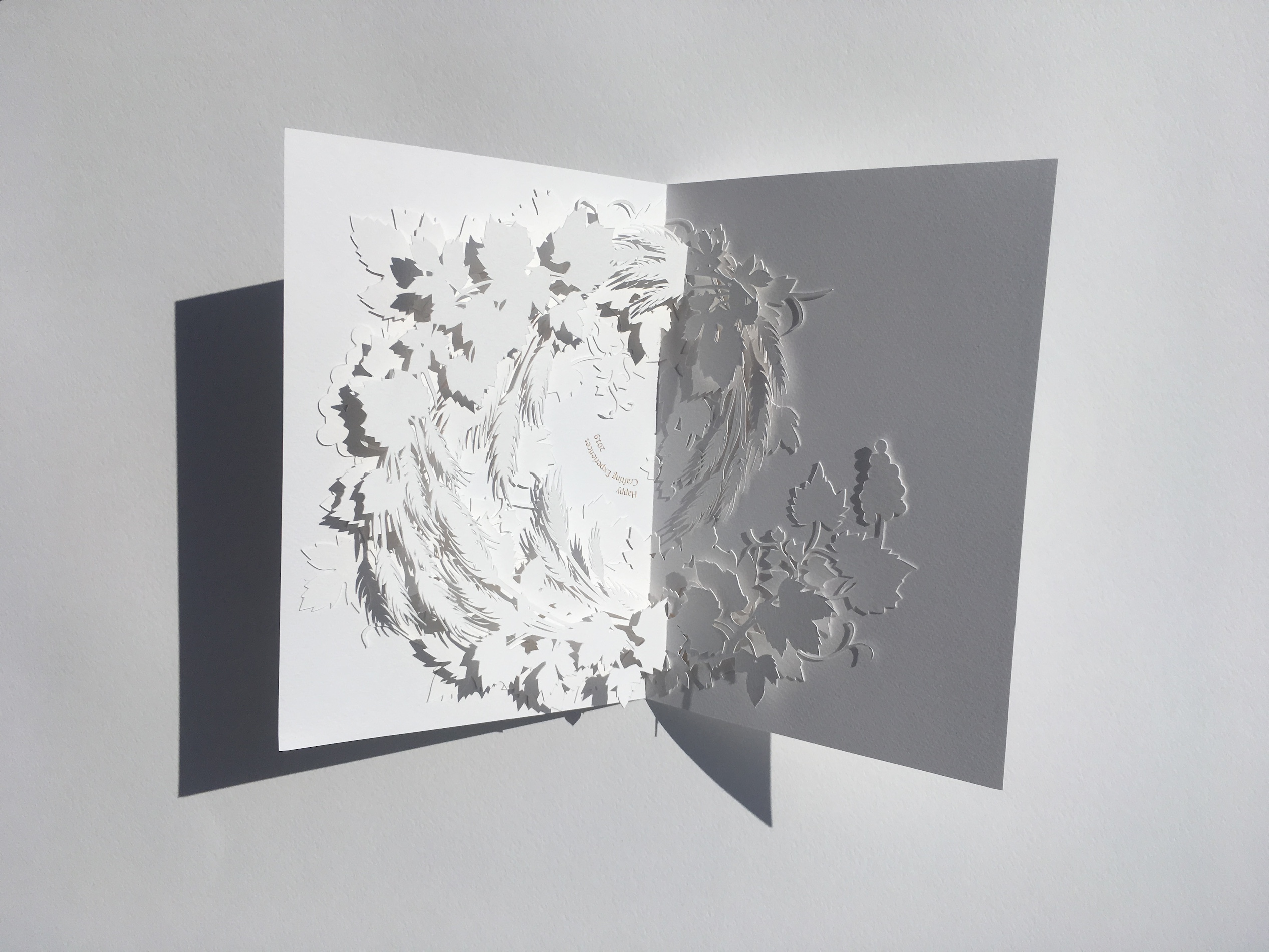 005 Cloe Vriet Craetive Paris Paper Artist Paper Edition