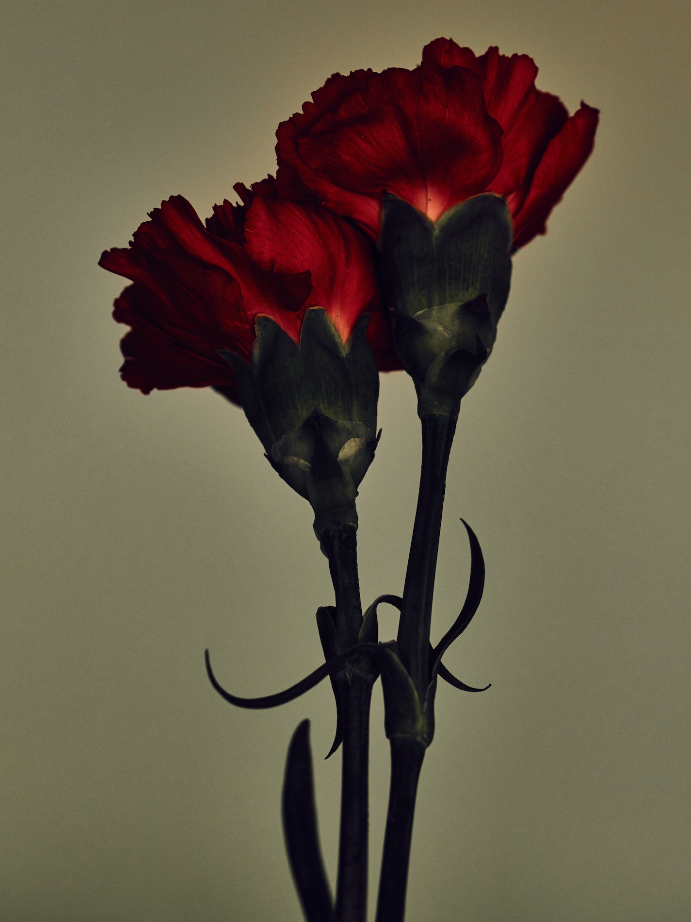 007 Fernando Gomez Craetive Paris Bold Make Up