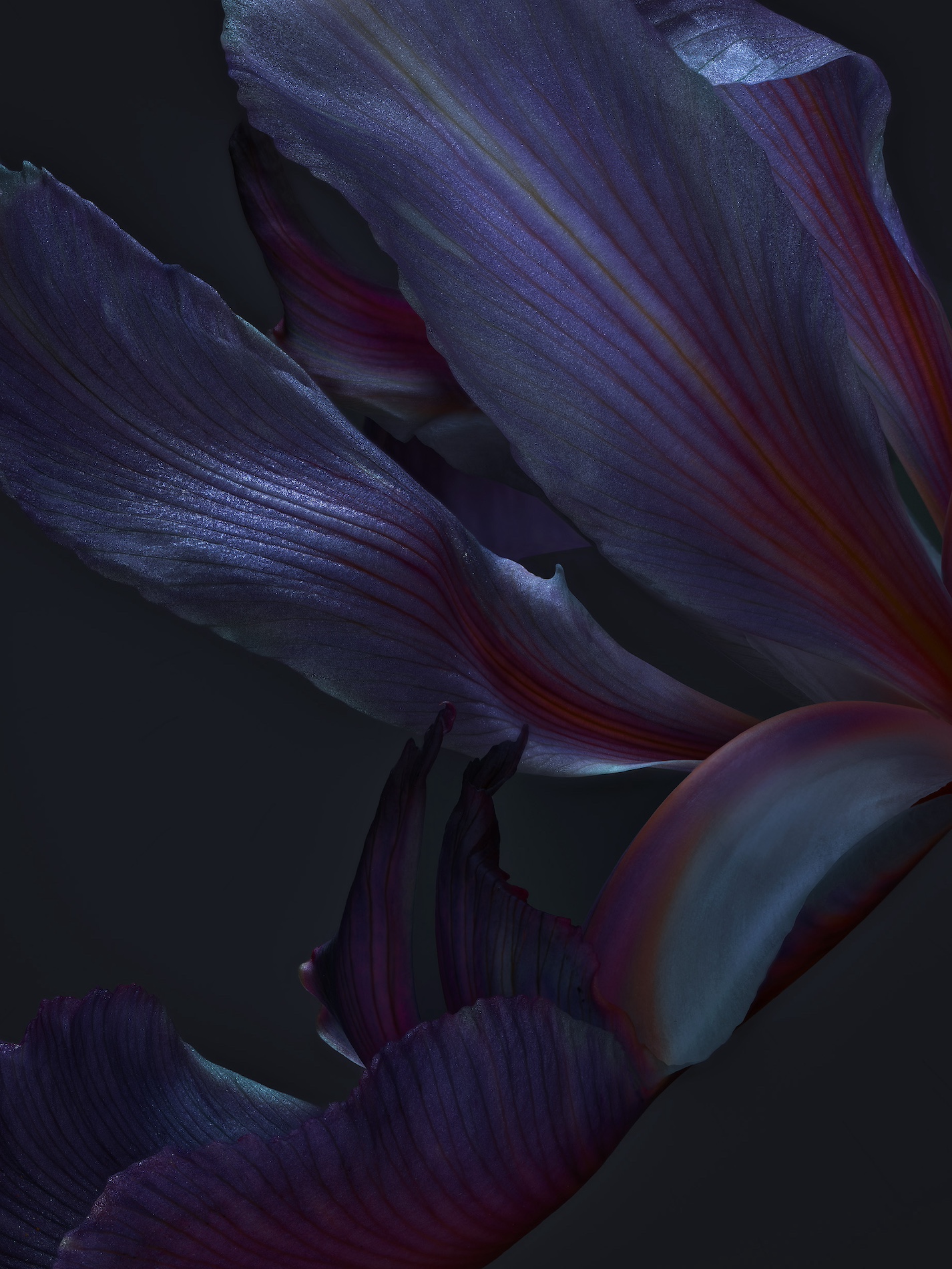 007 Jean Baptiste Degez Craetive Paris Portfolio