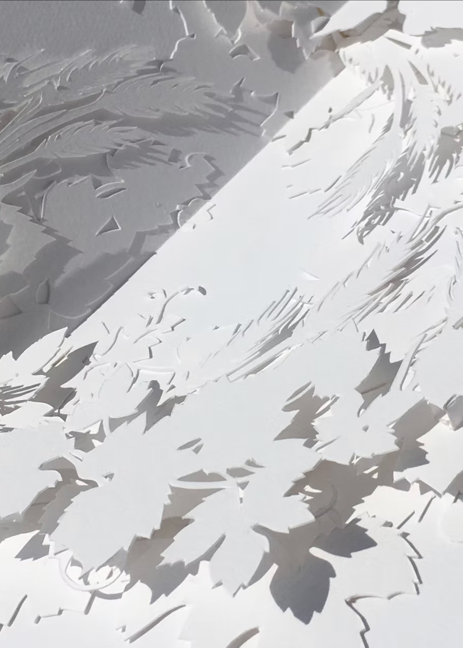 008 Cloe Vriet Craetive Paris Paper Artist Paper Edition