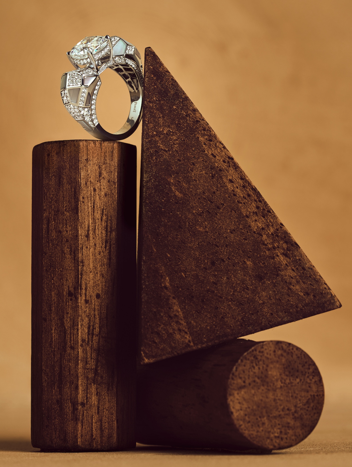 008 Fernando Gomez Craetive Paris Jewelry Piaget