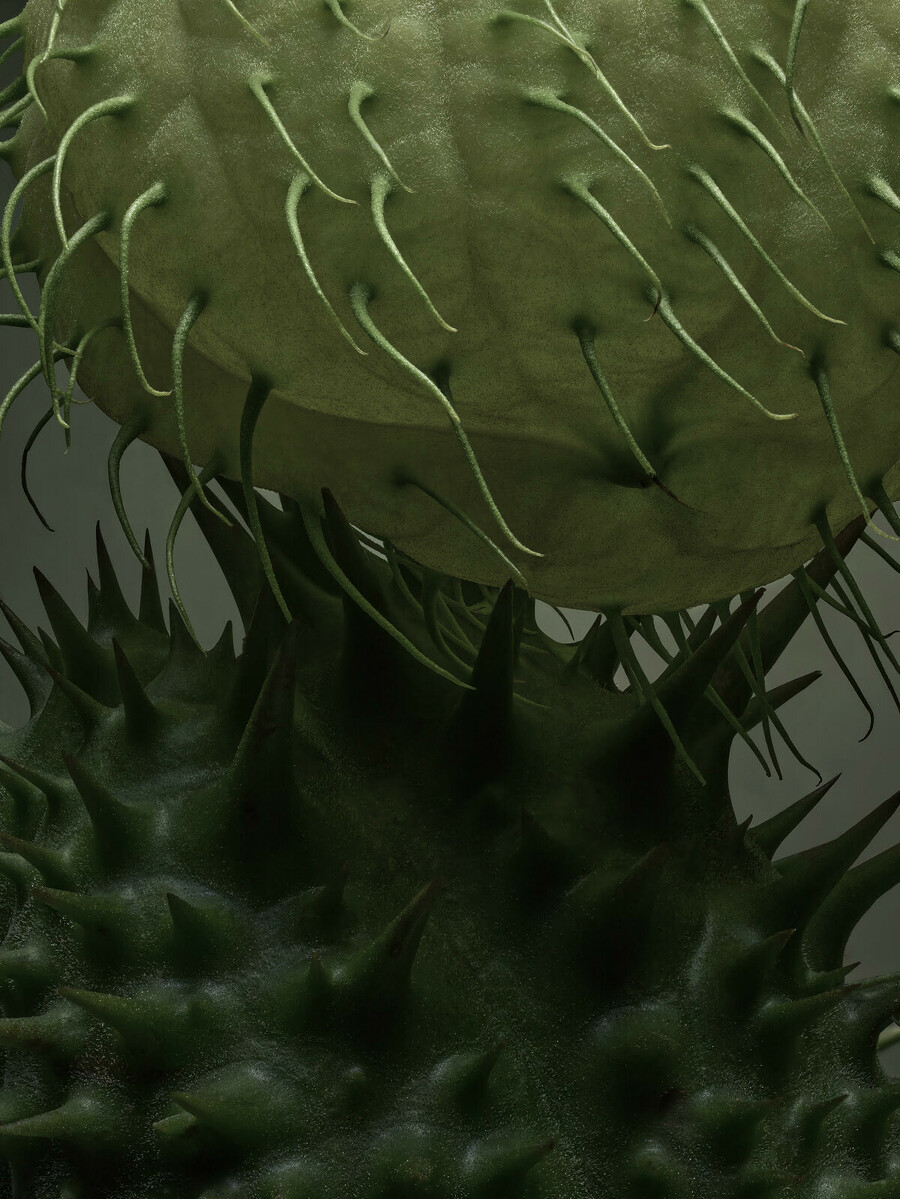 Stacked From 64 Images. Method=B (R=2,S=8)