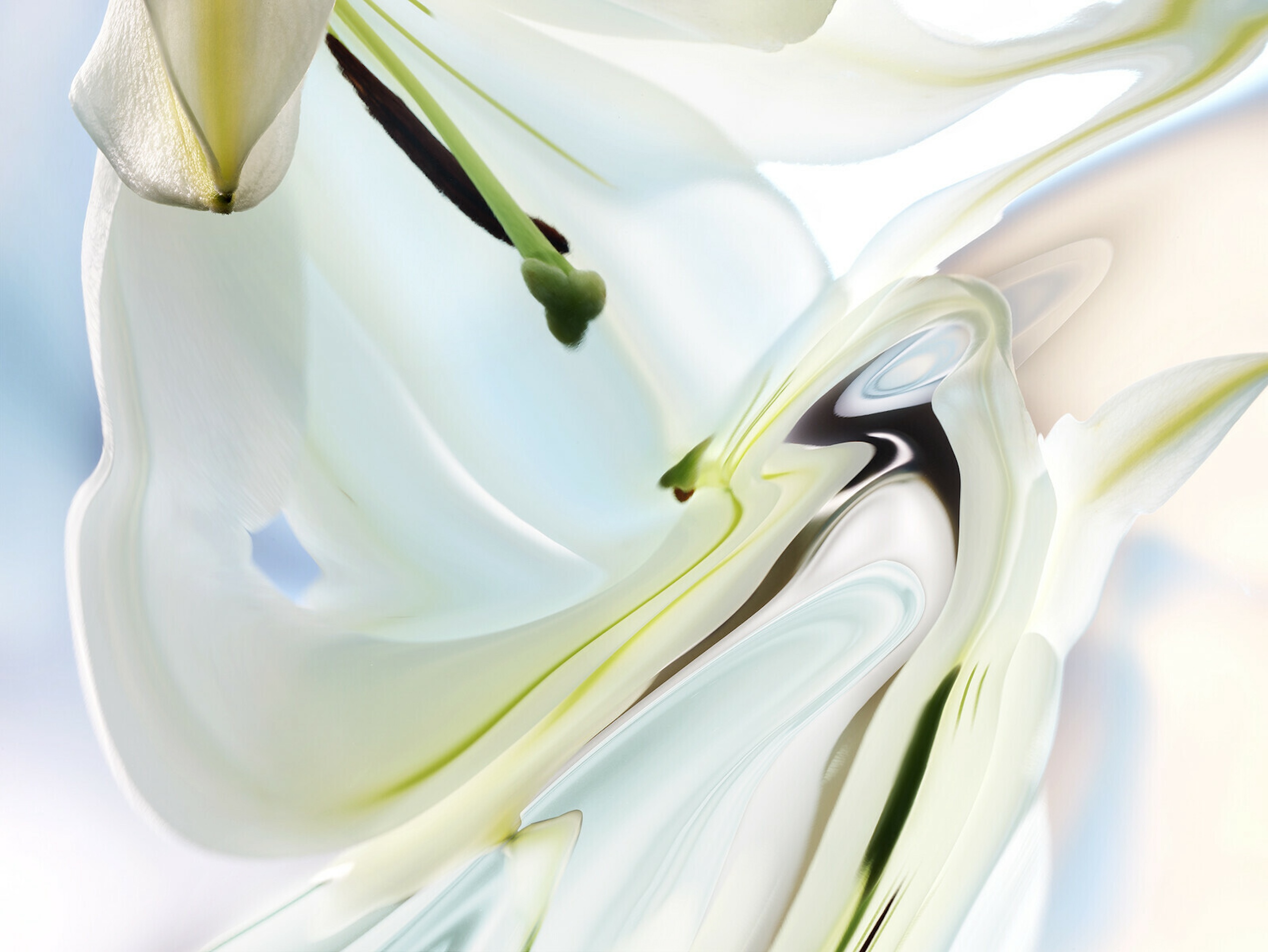 009 Jean Baptiste Degez Flowers Craetive Paris