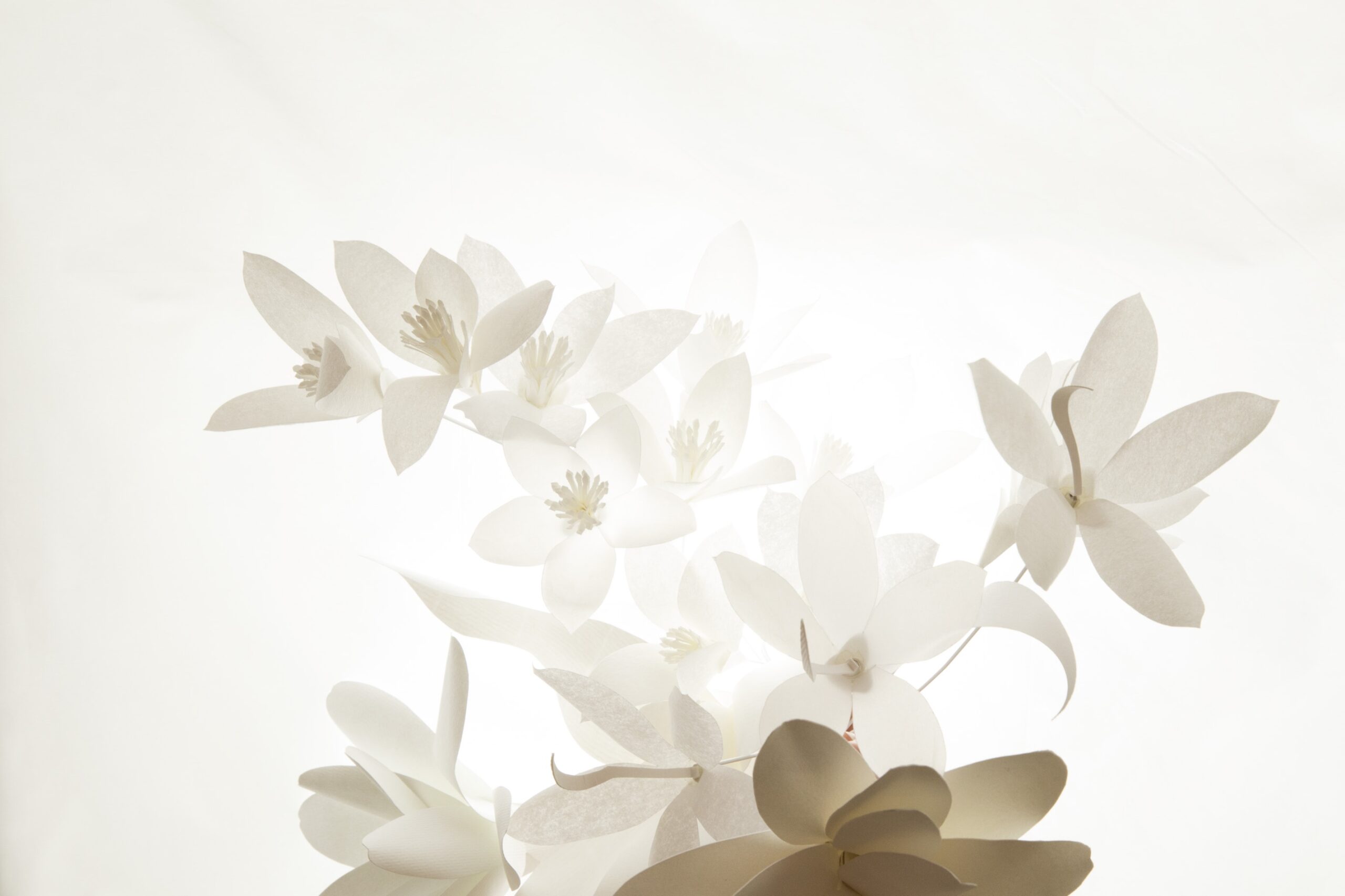 010 Cloe Vriet Craetive Paris Paper Artist Portfolio