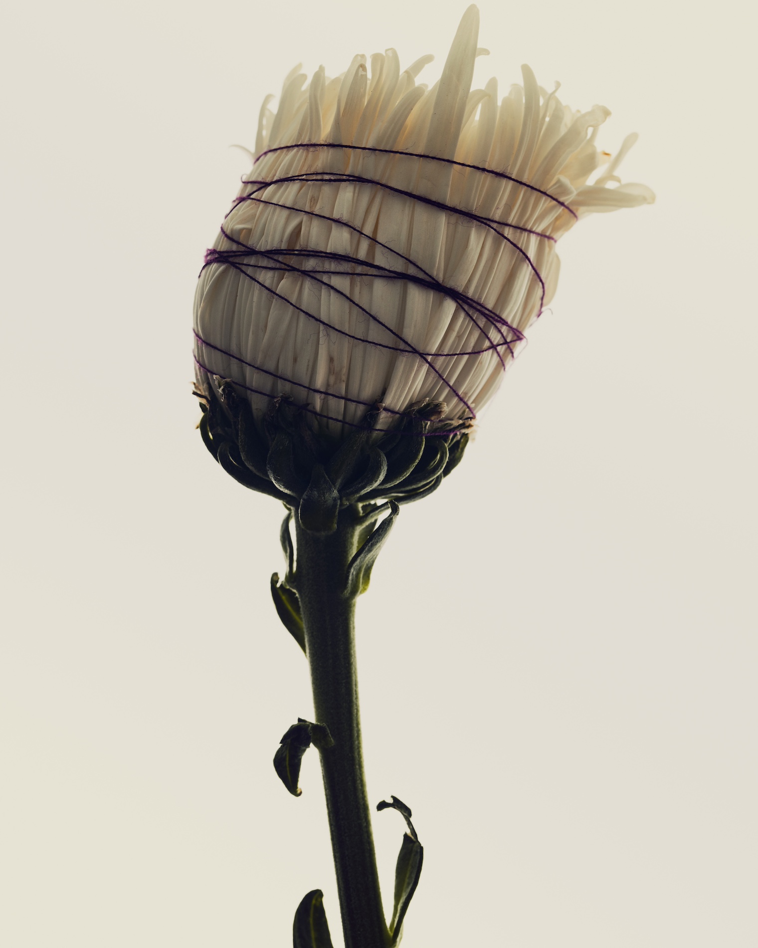 010 Fernando Gomez Craetive Paris Clean Beauty