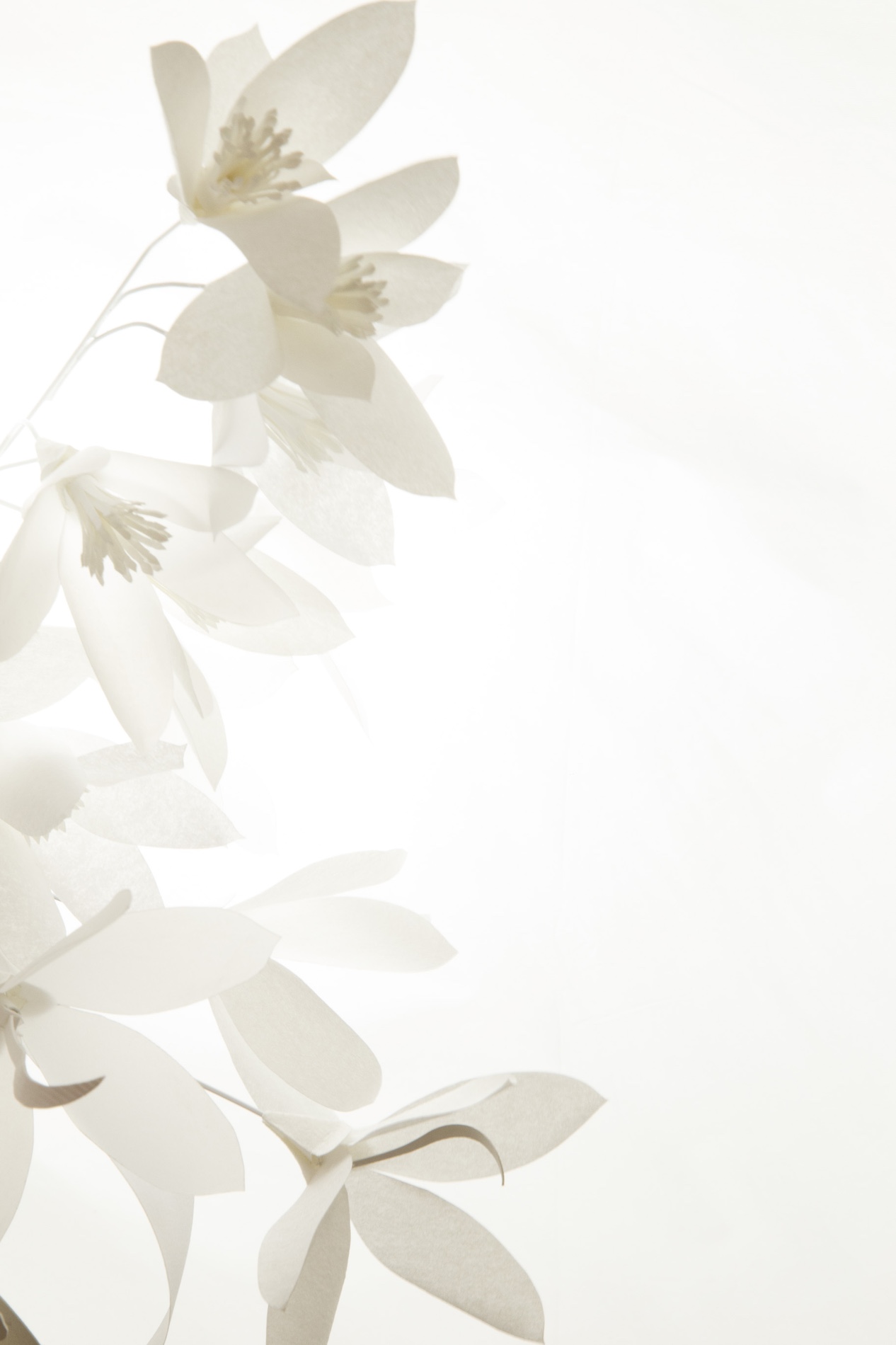 011 Cloe Vriet Craetive Paris Paper Artist Portfolio