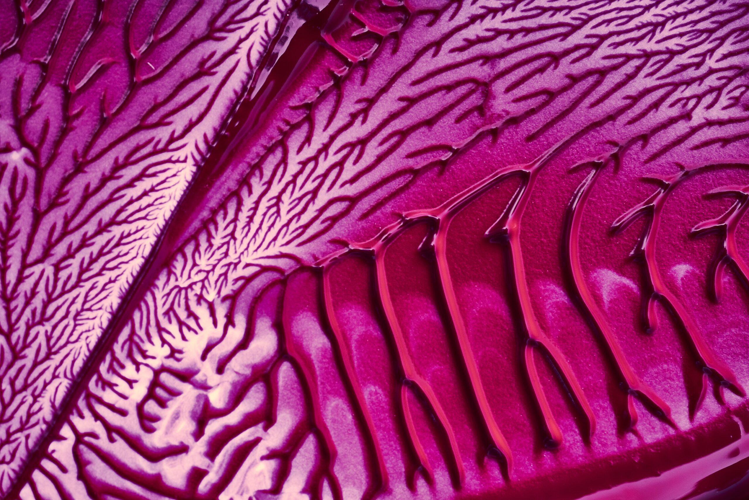 014 Fernando Gomez Craetive Paris Bold Make Up