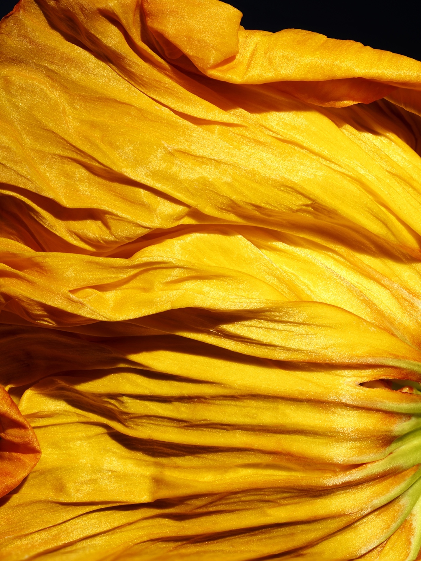 014 Jean Baptiste Degez Flowers Craetive Paris