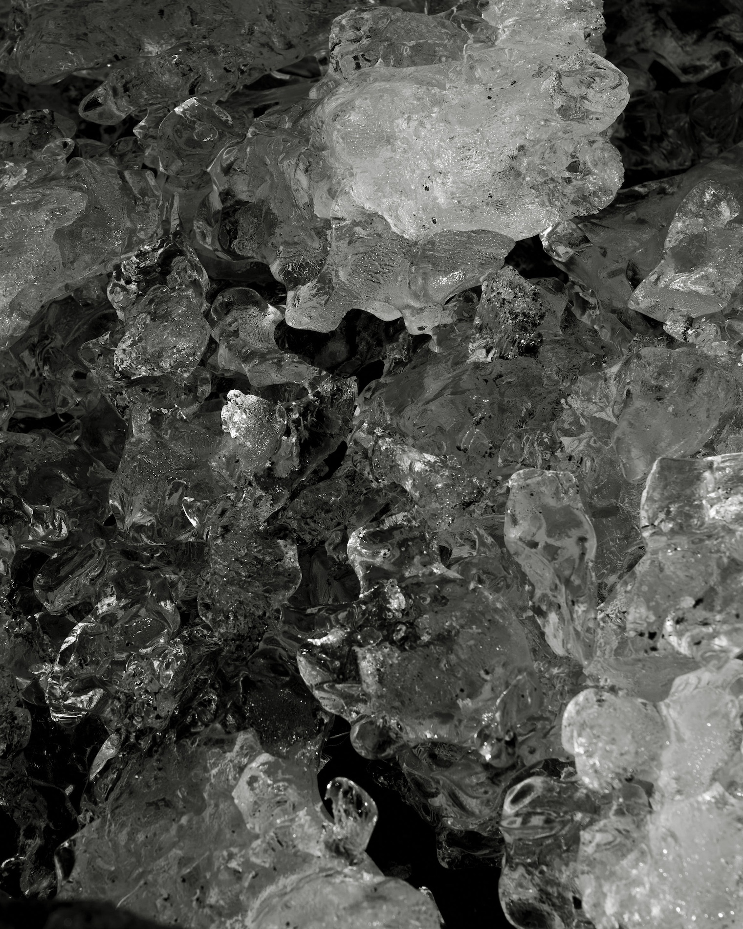 014 Lucian Bor Craetive Paris Still Life Landscape