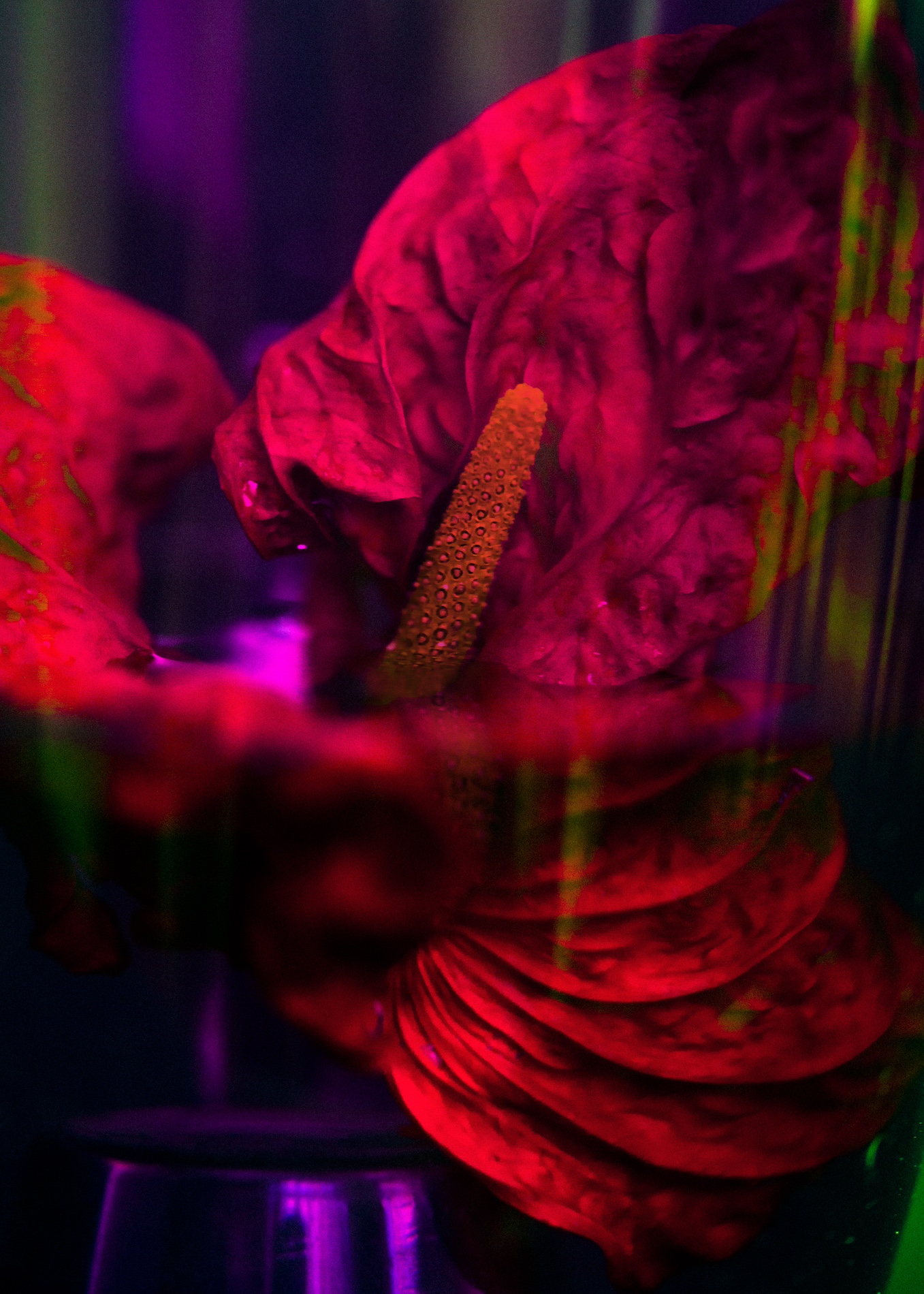 016 Fernando Gomez Craetive Paris Bold Make Up