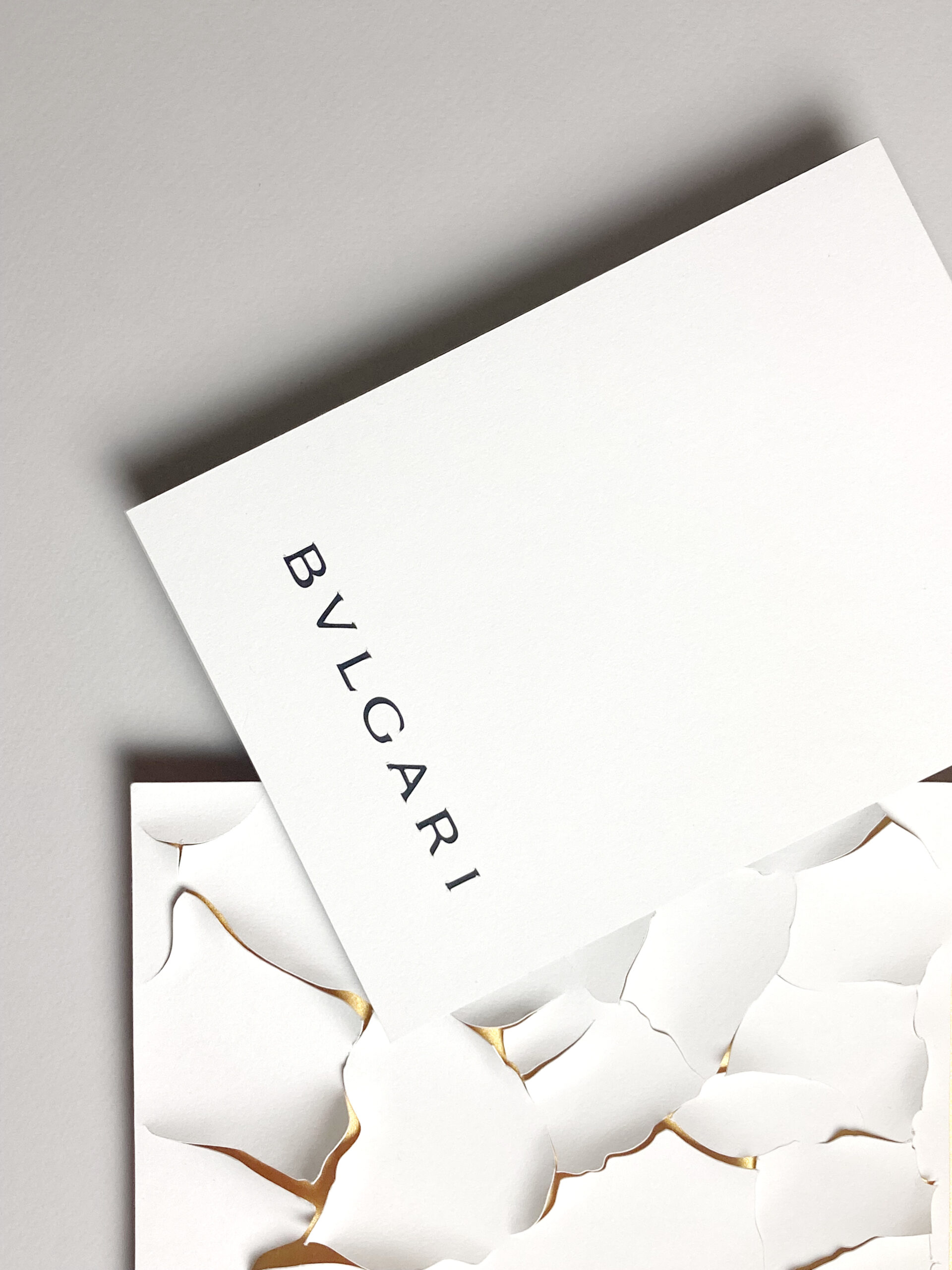 017 Cloe Vriet Craetive Paris Paper Artist Paper Edition