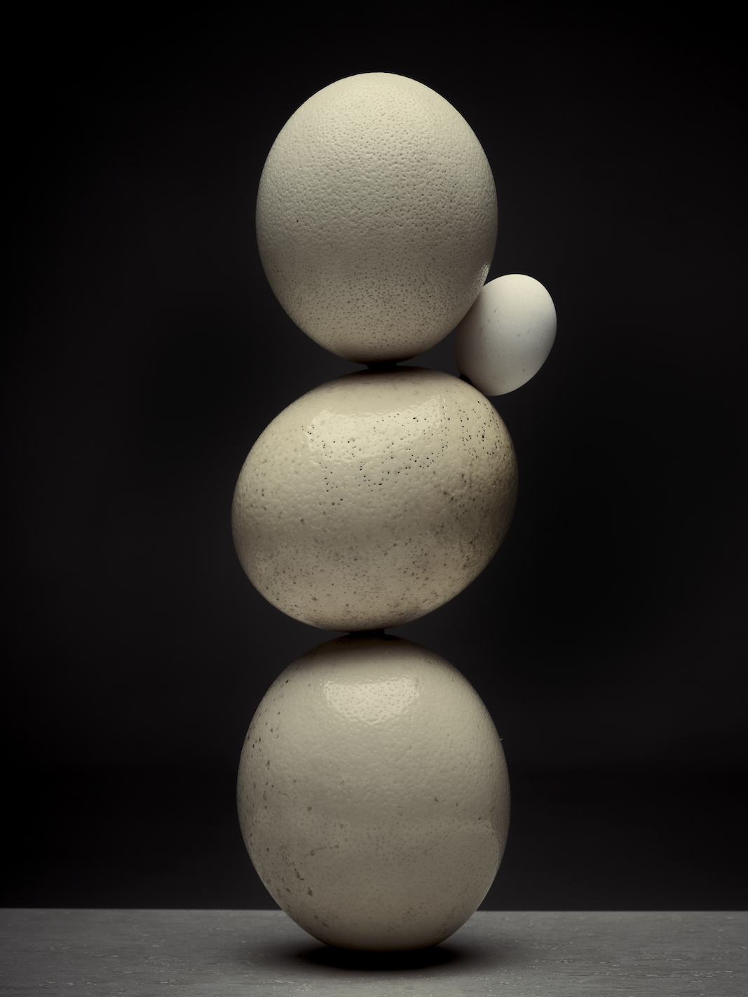 017 Fernando Gomez Craetive Paris Clean Beauty