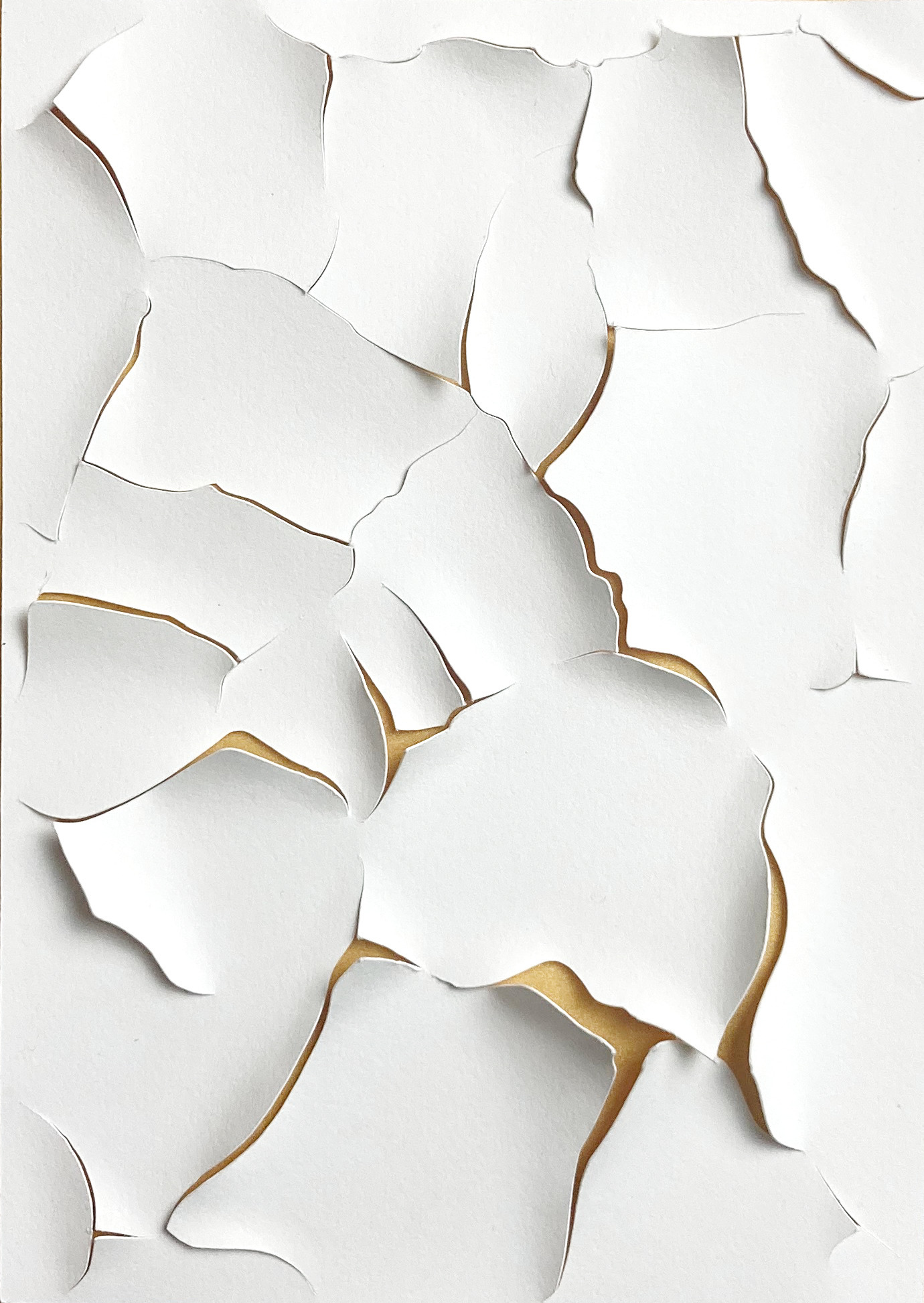 018 Cloe Vriet Craetive Paris Paper Artist Paper Edition