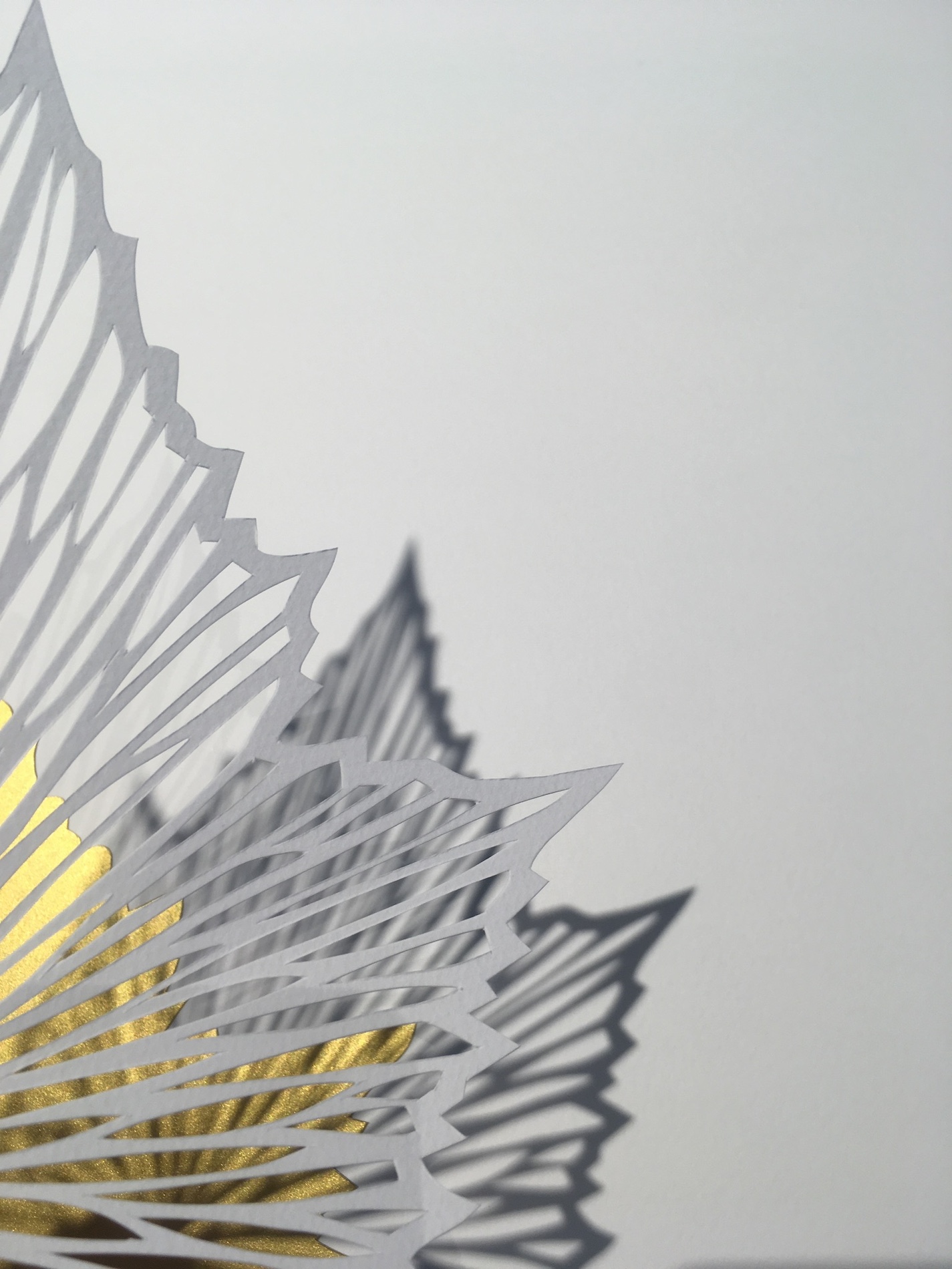 018 Cloe Vriet Craetive Paris Paper Artist Portfolio