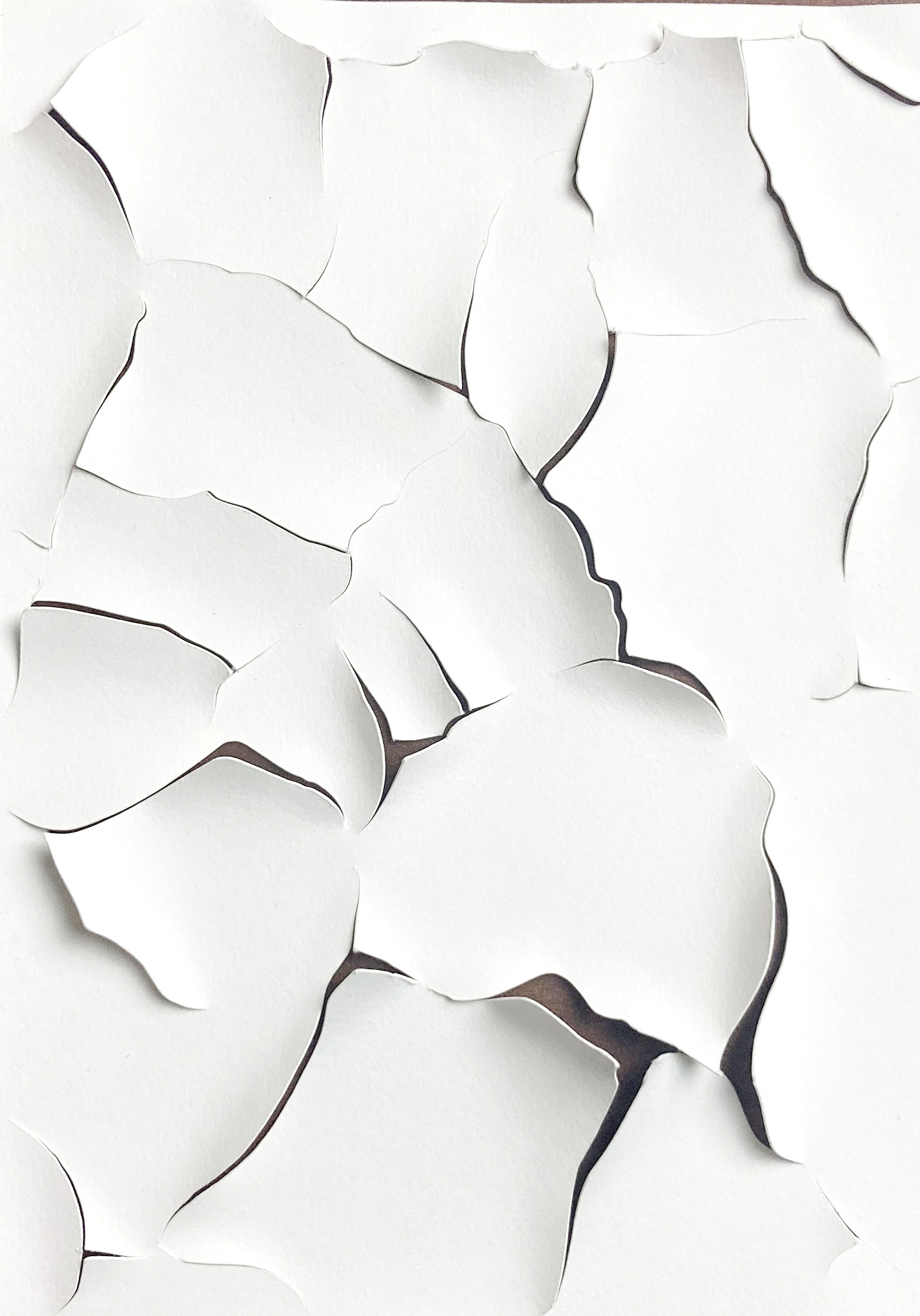 019 Cloe Vriet Craetive Paris Paper Artist Paper Edition