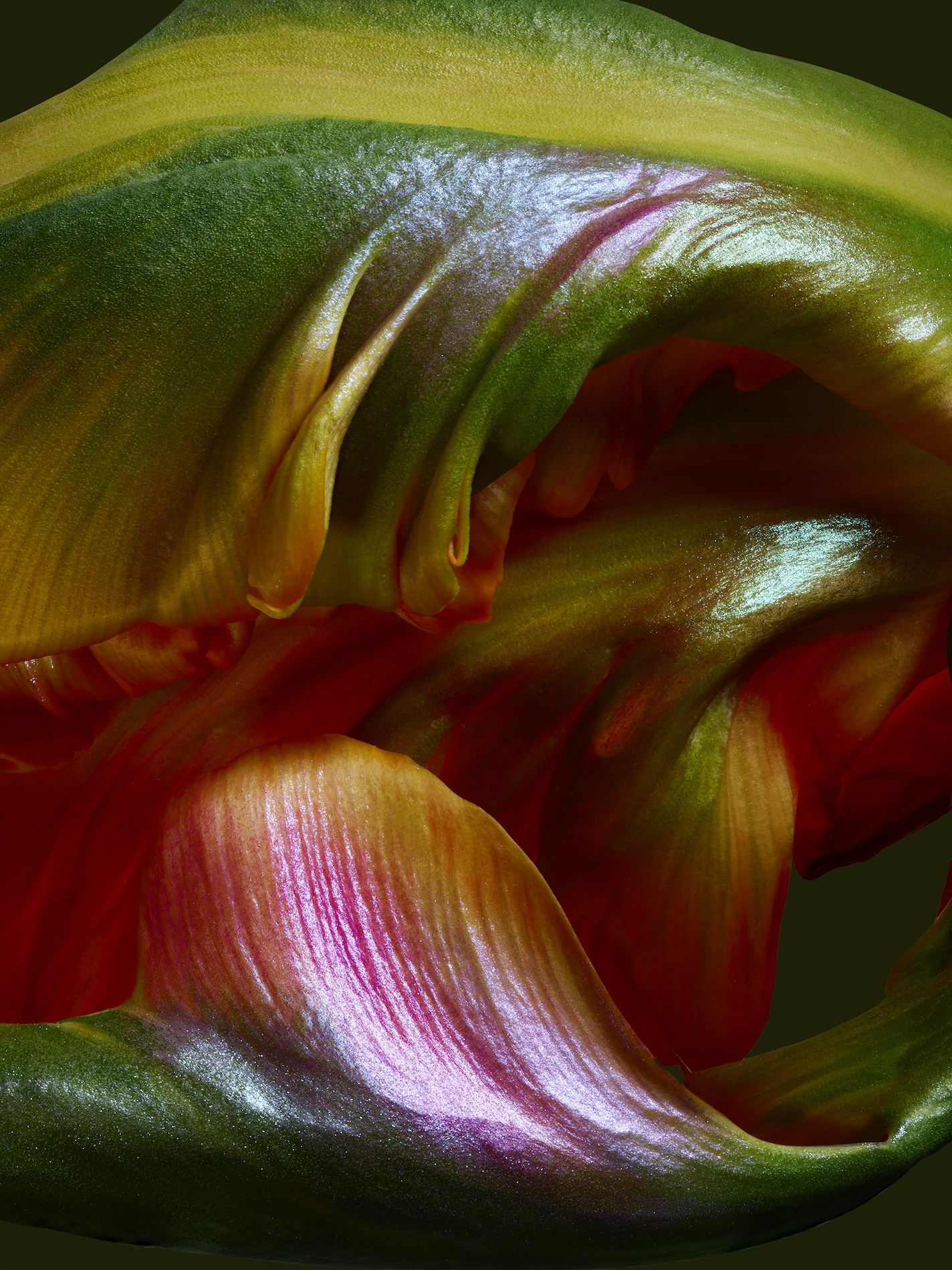 019 Jean Baptiste Degez Flowers Craetive Paris