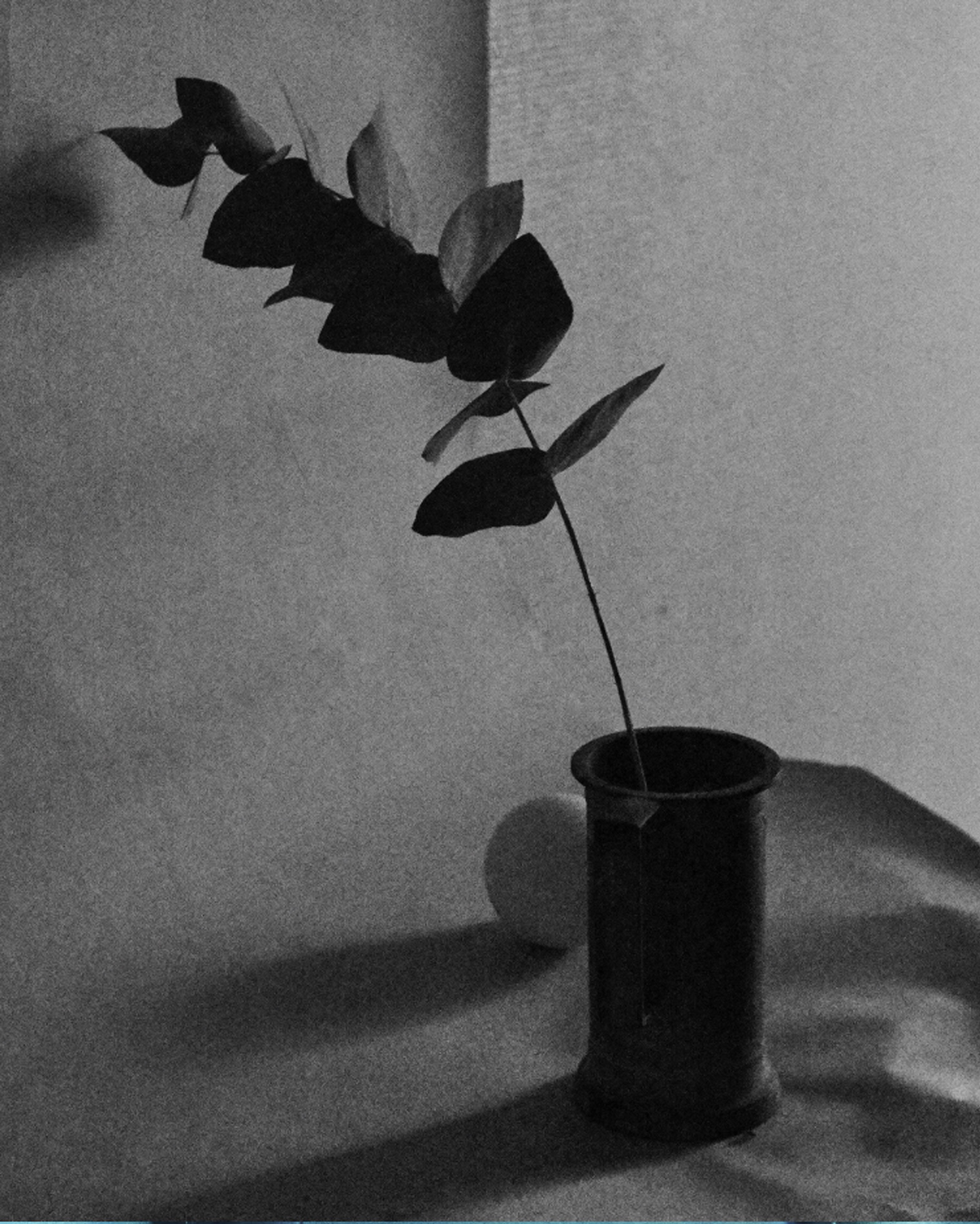 019 Lucian Bor Craetive Paris Still Life Landscape