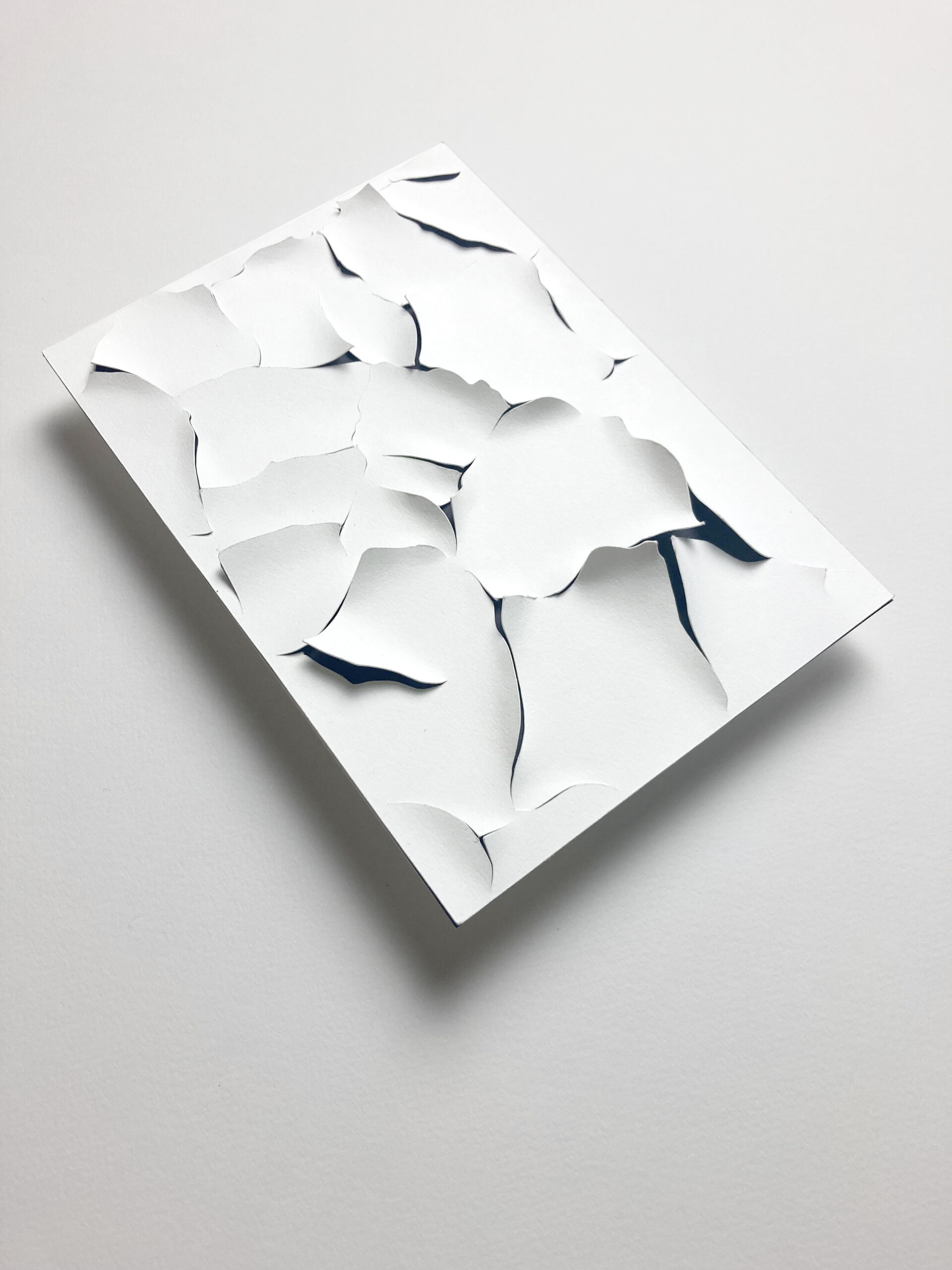 020 Cloe Vriet Craetive Paris Paper Artist Paper Edition