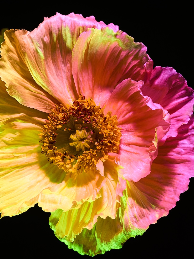 020 Fernando Gomez Craetive Paris Bold Make Up