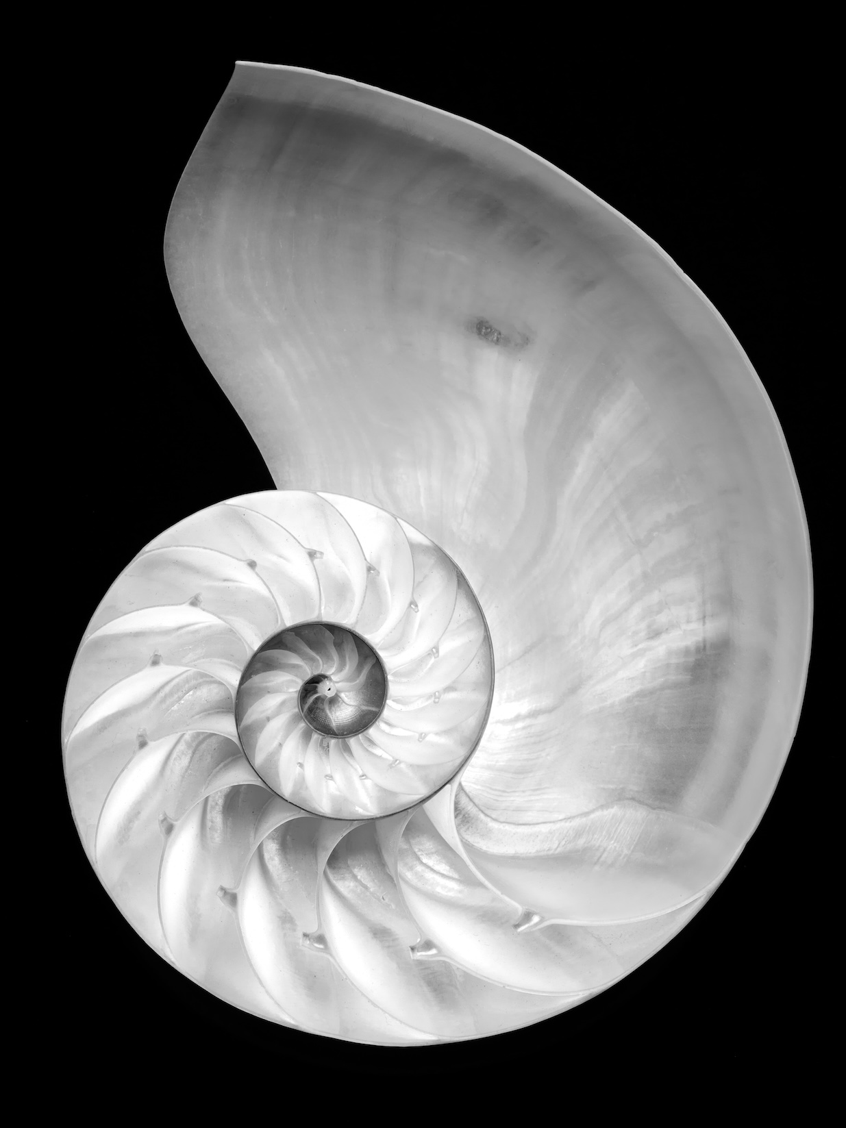 023 Fernando Gomez Craetive Paris Clean Beauty