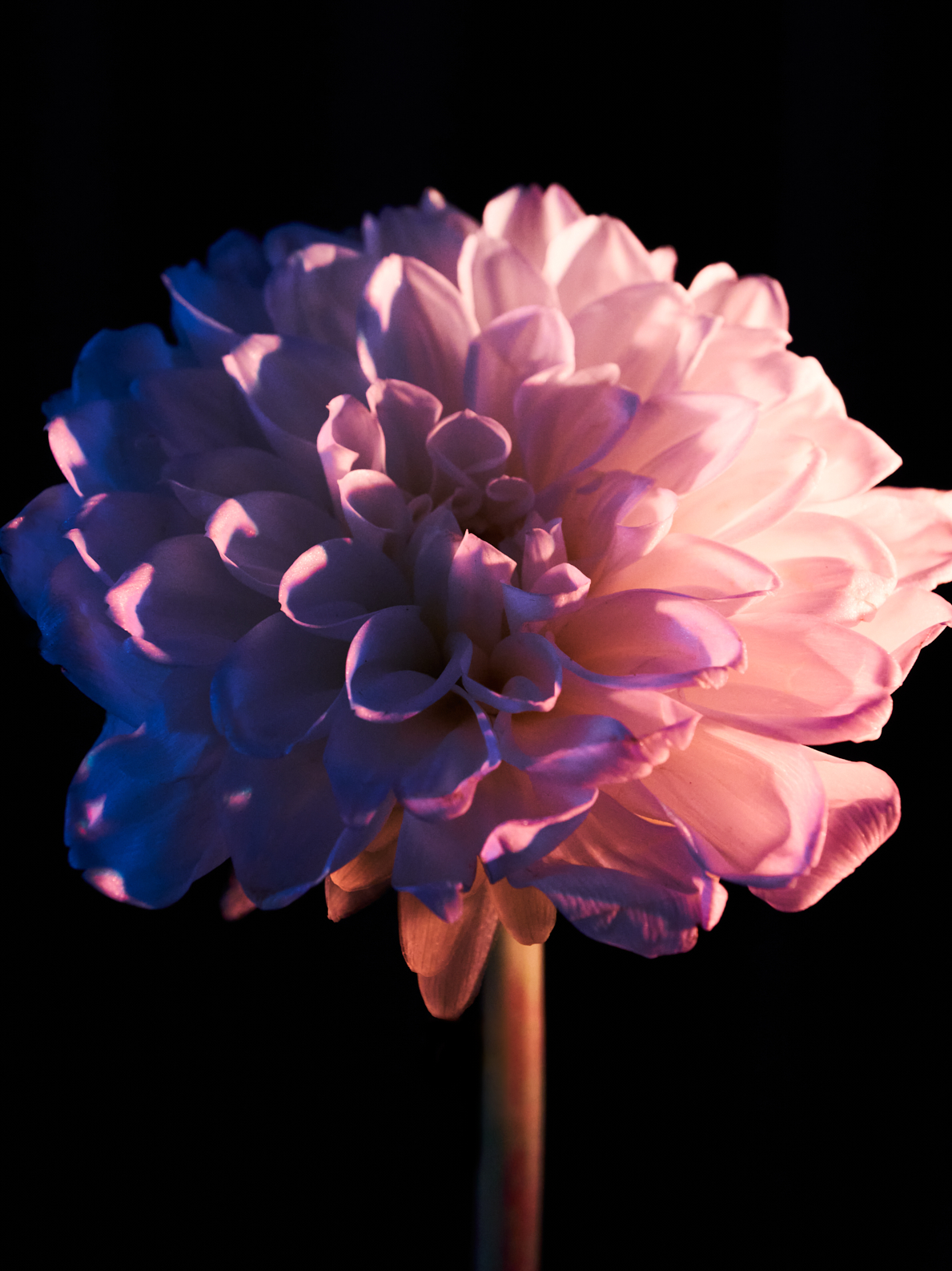 027 Fernando Gomez Craetive Paris Clean Beauty