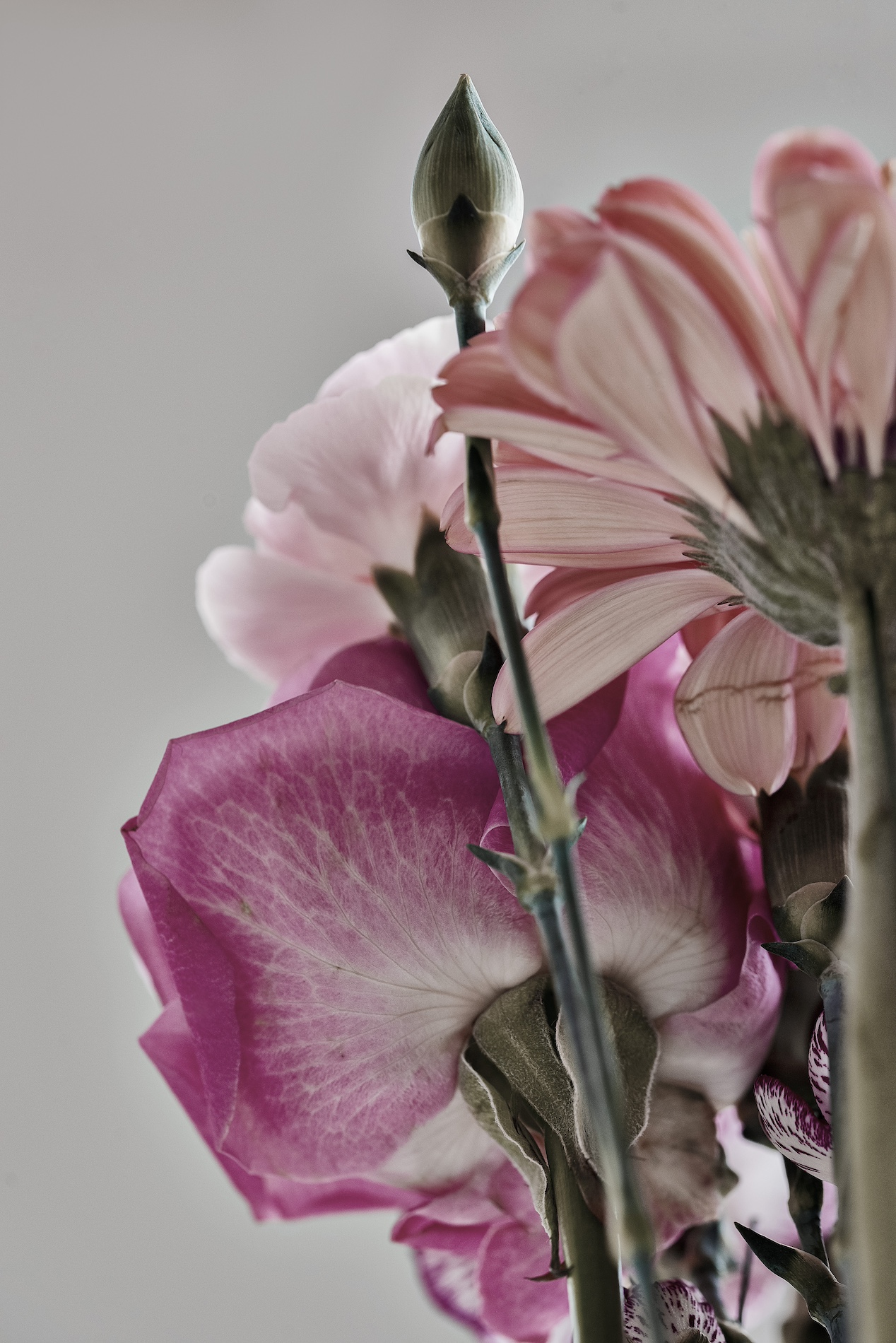 029 Fernando Gomez Craetive Paris Clean Beauty