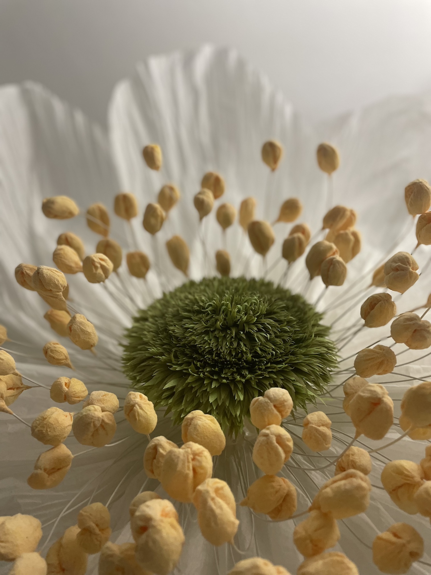 030 Cloe Vriet Craetive Paris Paper Artist Event Scenography