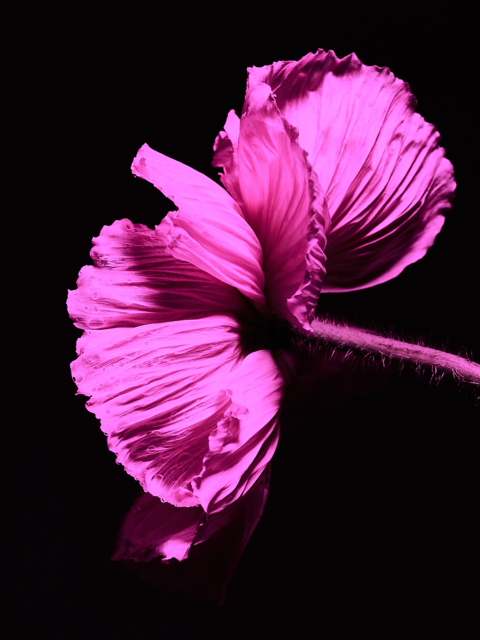 030 Fernando Gomez Craetive Paris Bold Make Up