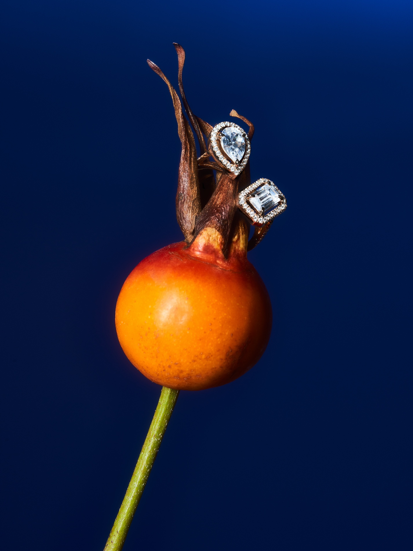 030 Fernando Gomez Craetive Paris Jewelry