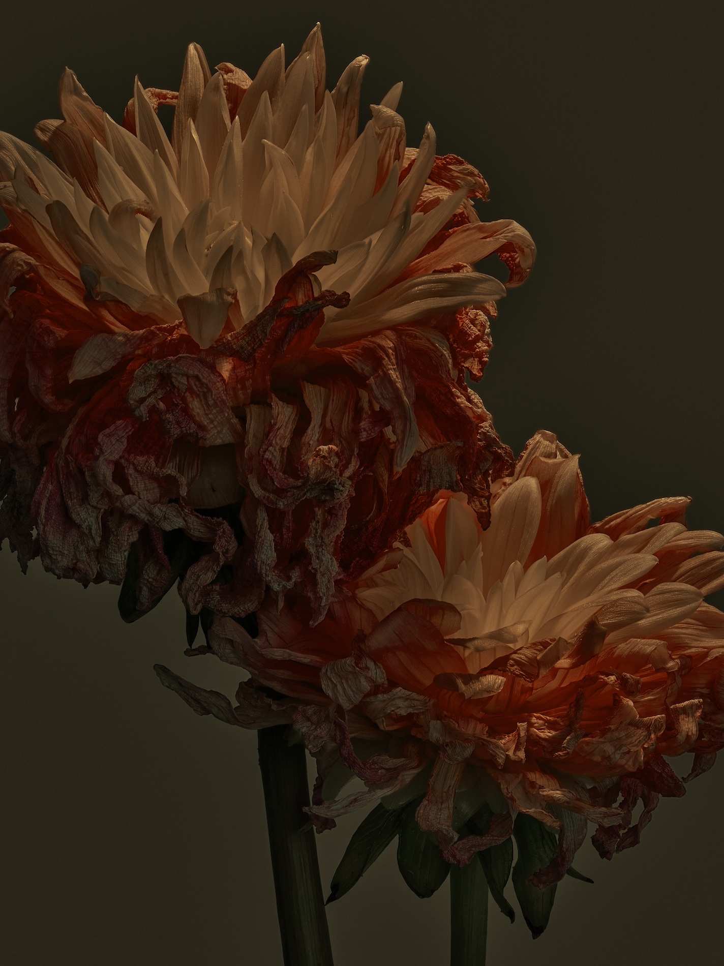 032 Jean Baptiste Degez Craetive Paris Portfolio